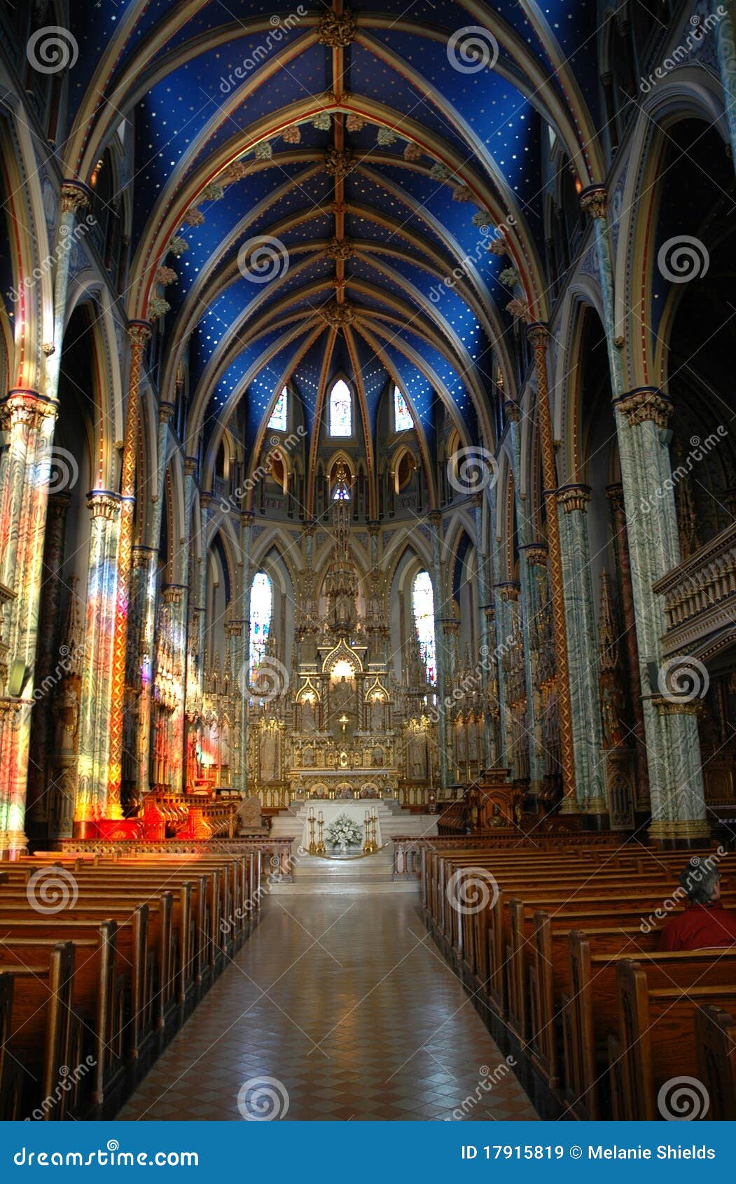 Notre Dame Cathedral Ottawa Editorial Stock Image Image of inside