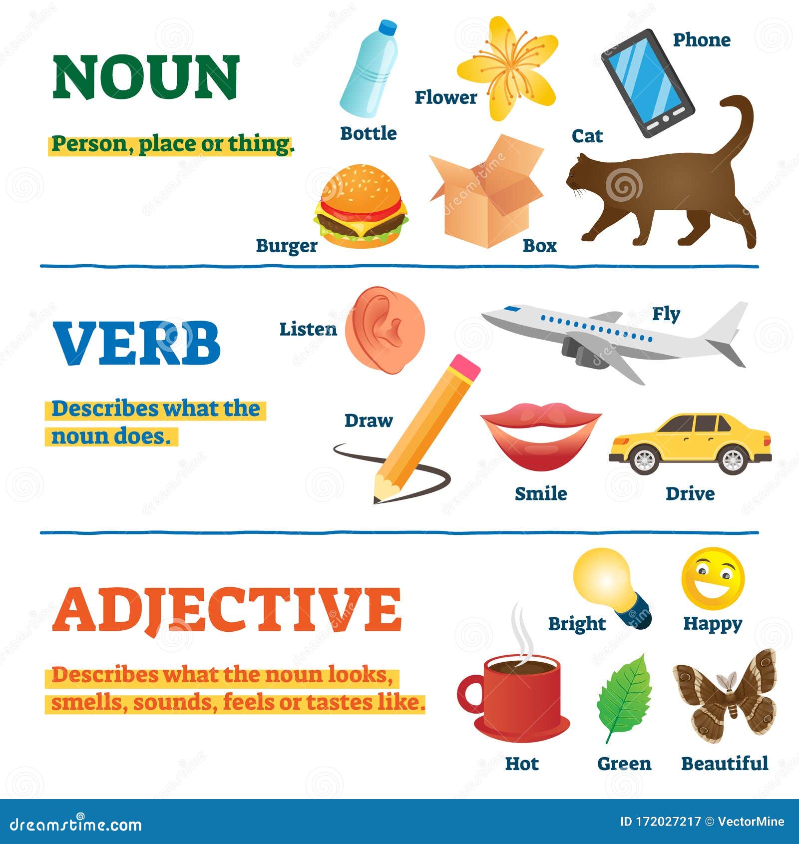 nouns-verbs-and-adjectives-school-study-guide-vector-illustration