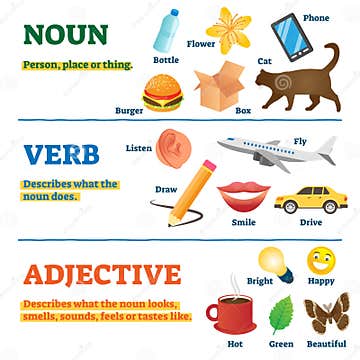 Nouns Verbs And Adjectives School Study Guide Vector Illustration CartoonDealer 172027217