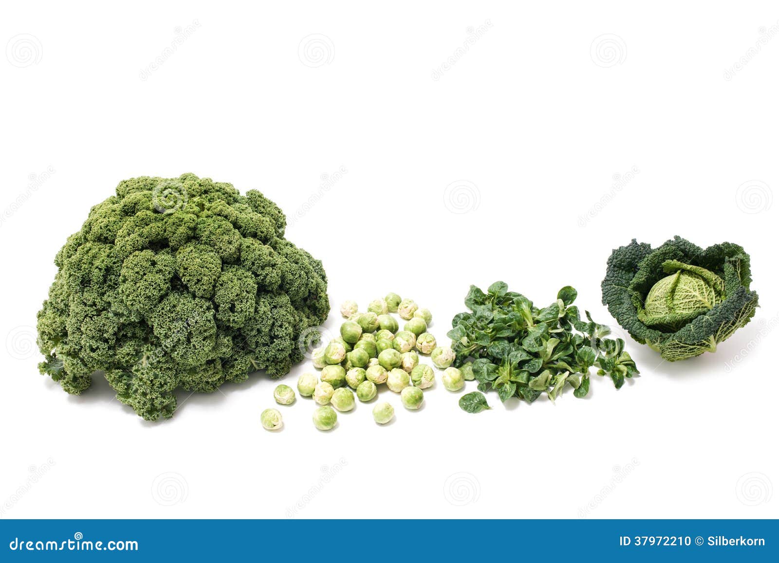 Nourriture Legumes Verts D Hiver Chou Frise Choux De Bruxelles Sel De Champ Photo Stock Image Du Champ Hiver