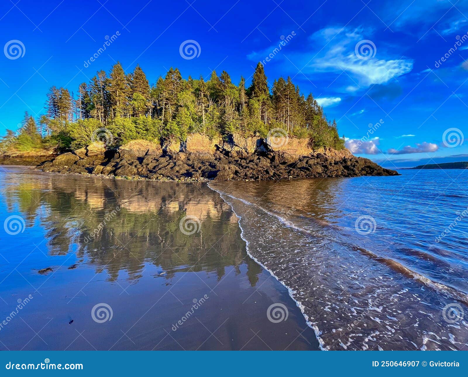 Nova Praia Fluvial Na Baía Do Fundy No Canadá Com Terreno