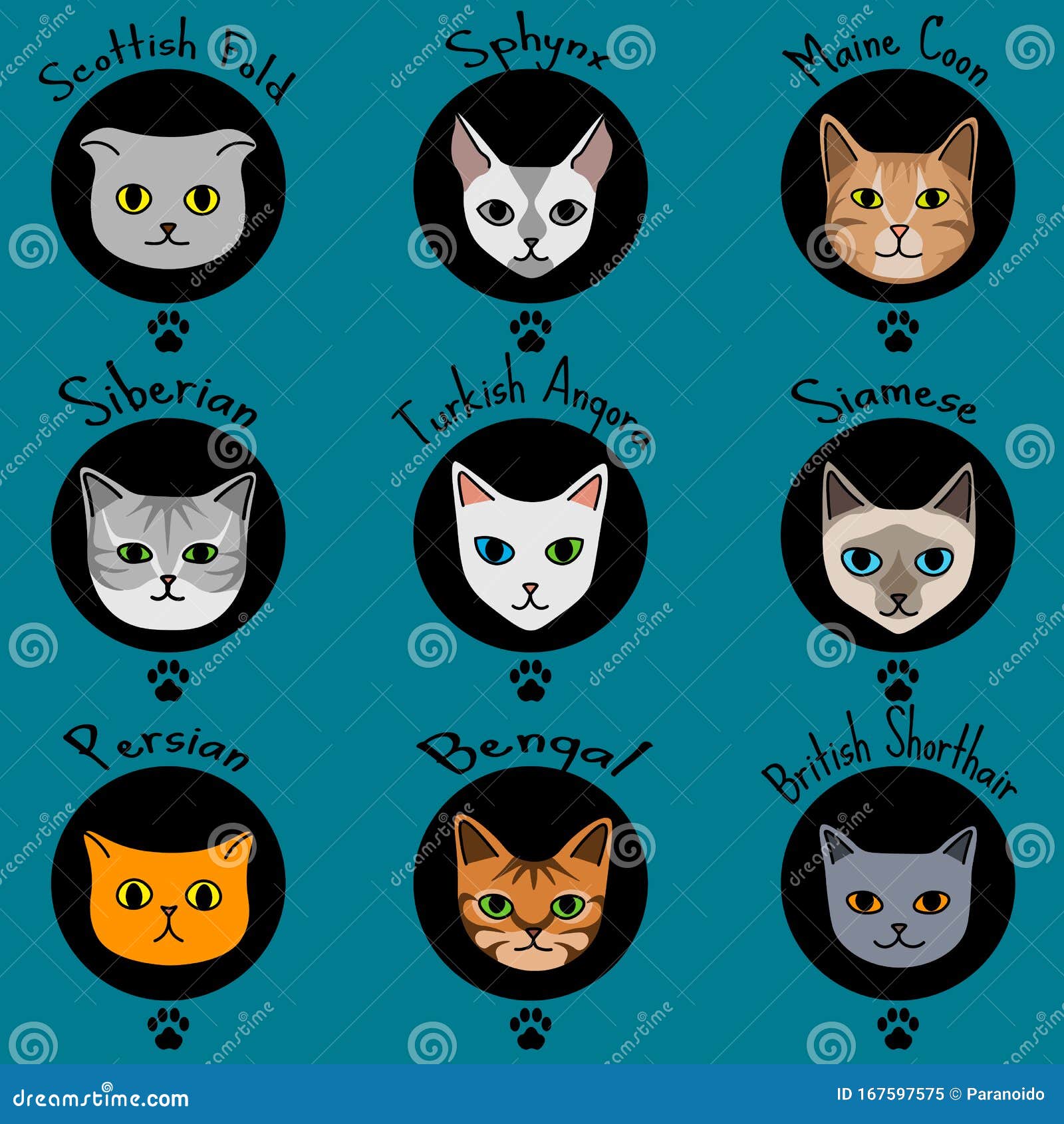 Nomes De Gatos De Desenhos Animados