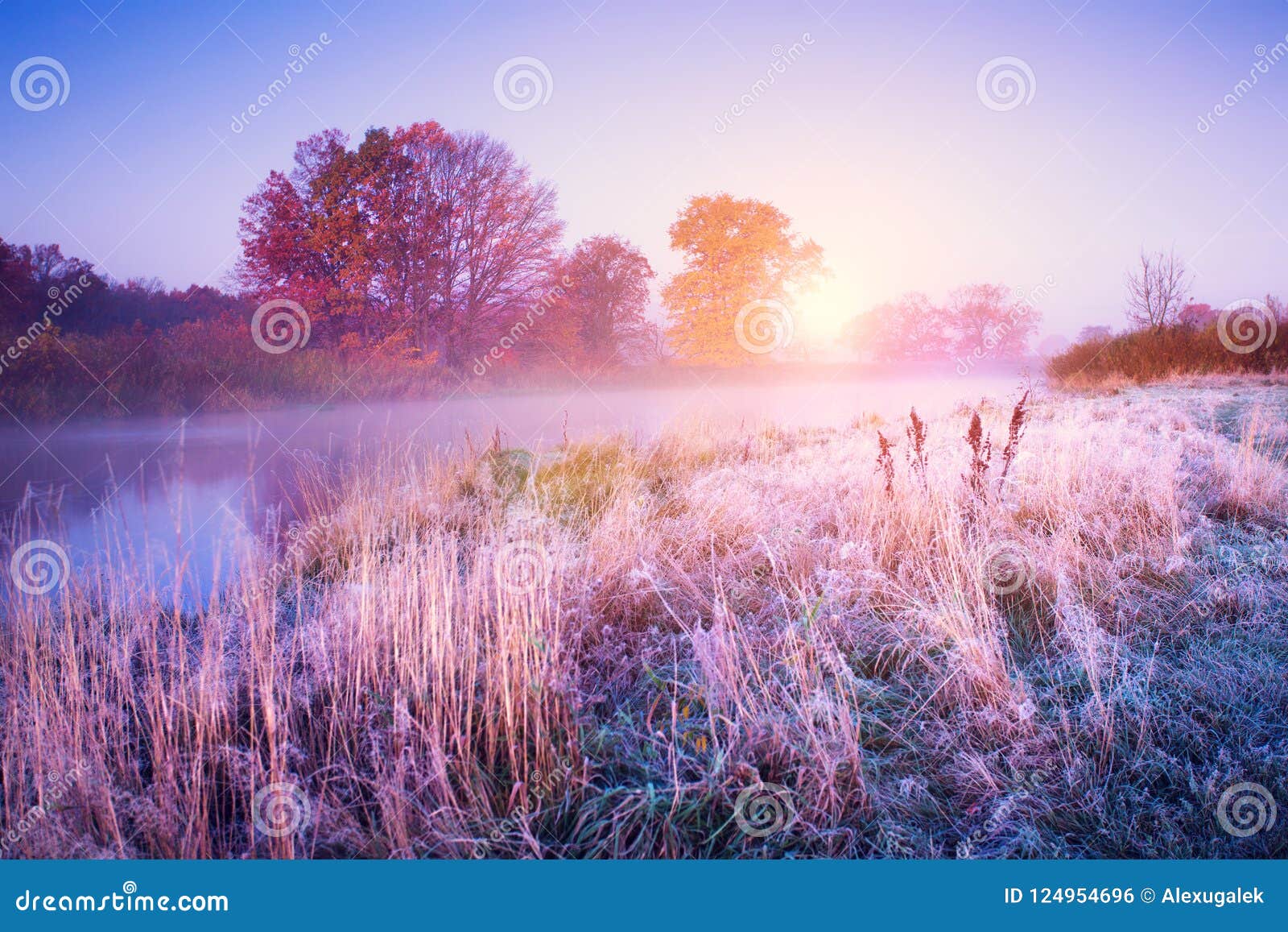 november landscape. autumn morning with colorful trees and hoarfrost on the ground.