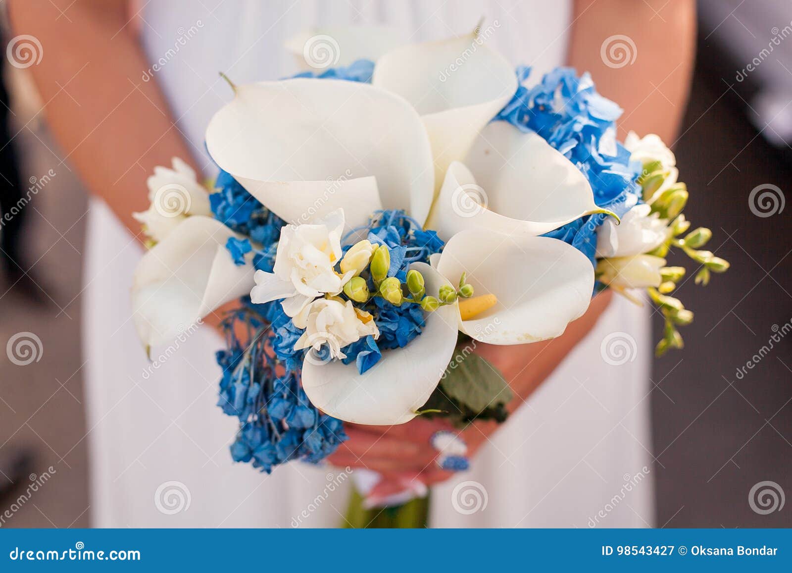 Novia Que Sostiene El Ramo De Calas Blancas Imagen de archivo - Imagen de  color, brillante: 98543427