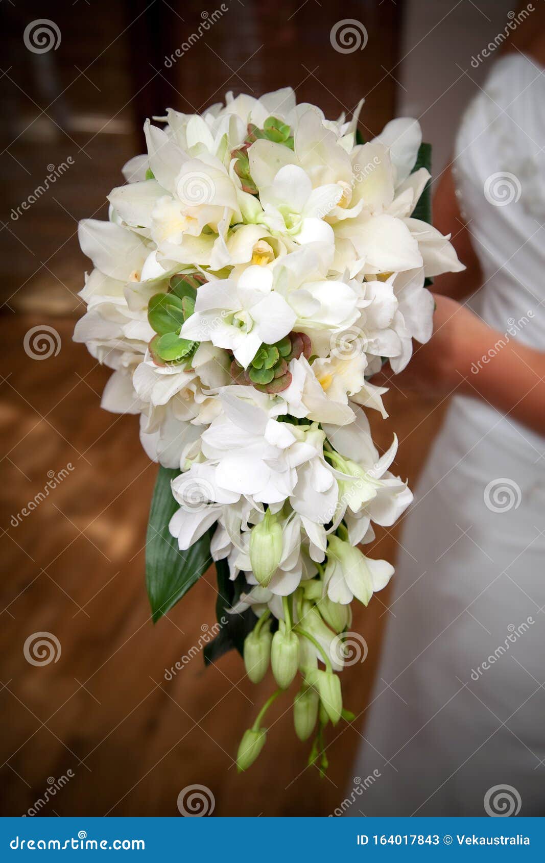 Novia Sosteniendo El Bouquet De La Boda De La Flor Blanca Imagen de archivo - Imagen de blanco, flor: 164017843 Novia Sosteniendo El Bouquet De La Boda De La Flor Blanca Imagen de archivo - Imagen de blanco, flor: 164017843