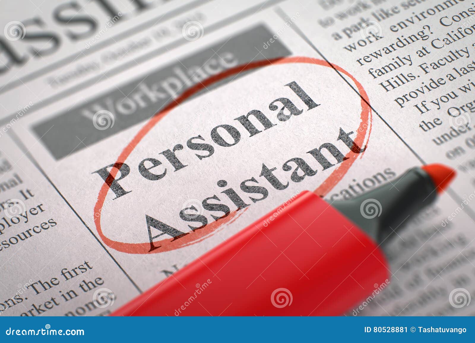 news paper copy assistant news paper copy assistant