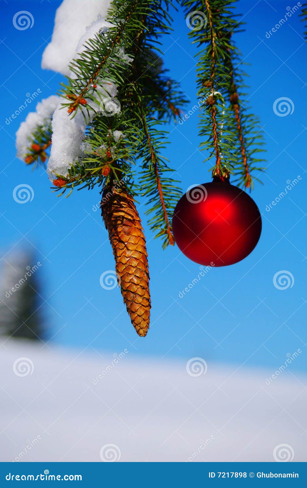 Horizontal de sapin de cône de Noël de babiole en dehors d'arbre neigeux