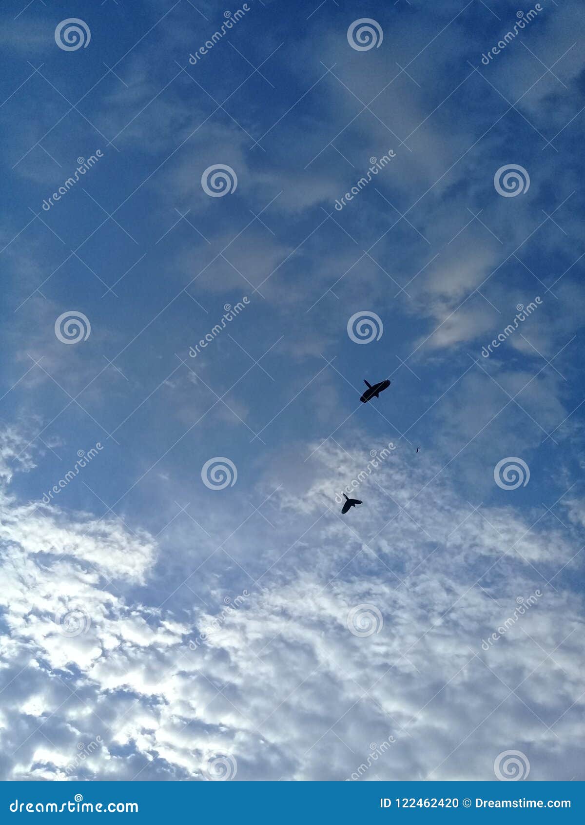 nubes en el cielo. clouds in the sky.