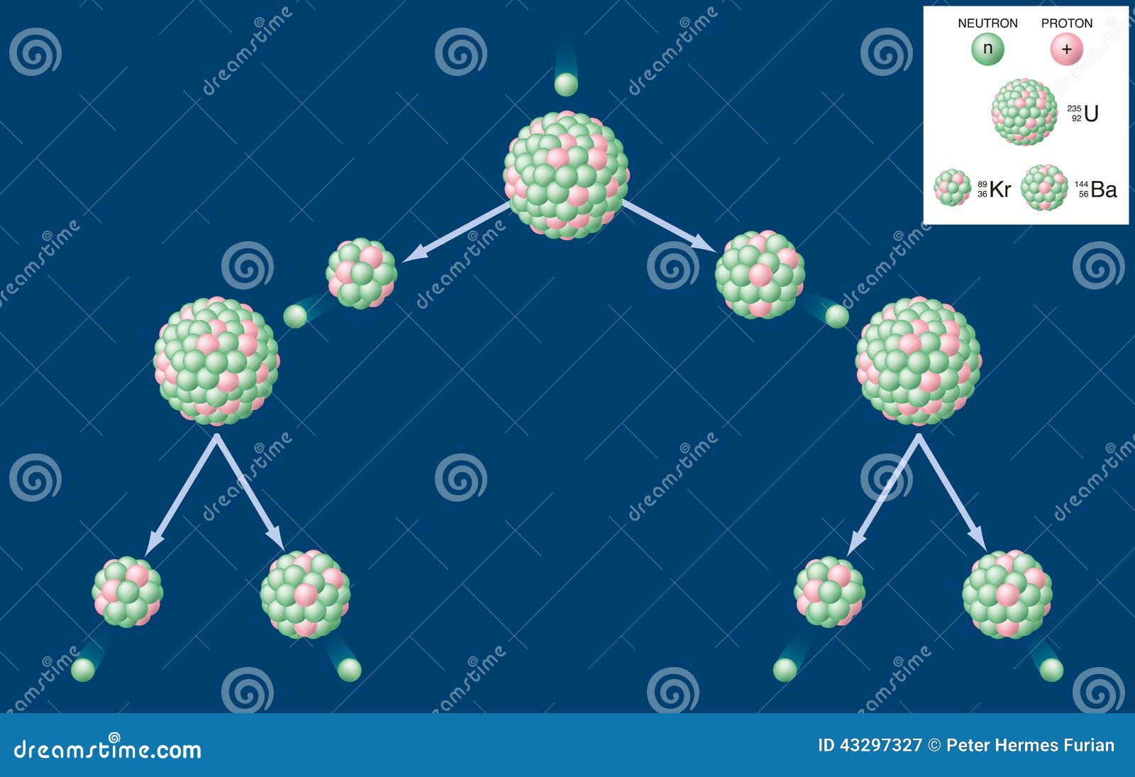 nuclear fission and chain reaction of uranium