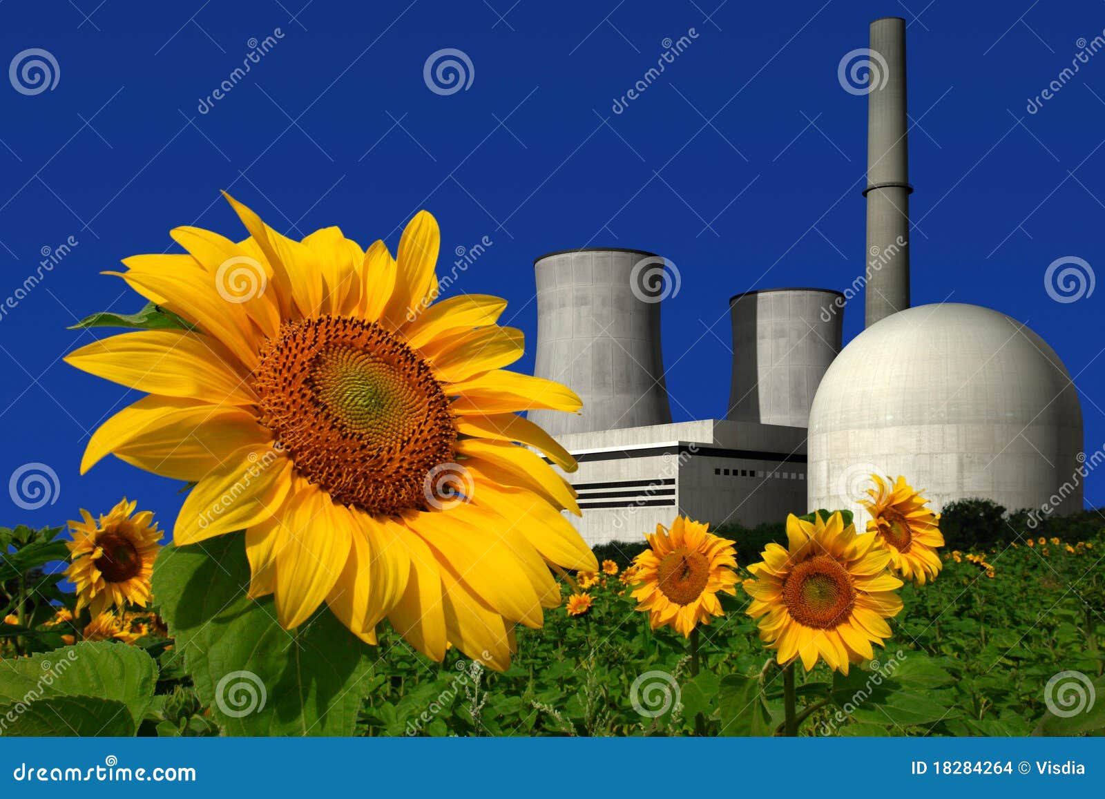 Nuclear Power Plant Behind a Sunflower Field Stock Photo Image of blue, generation 18284264