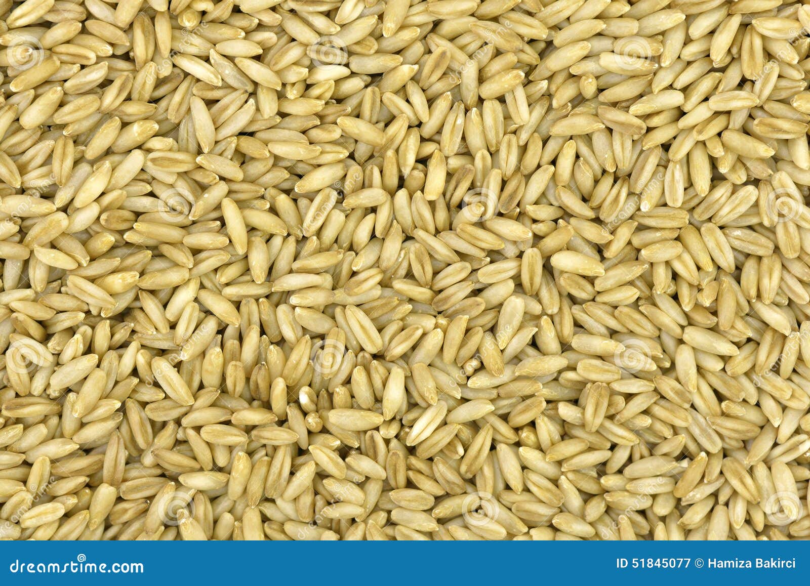 Nuda De Cavena, Elevação Das Pradarias Imagem de Stock Imagem de