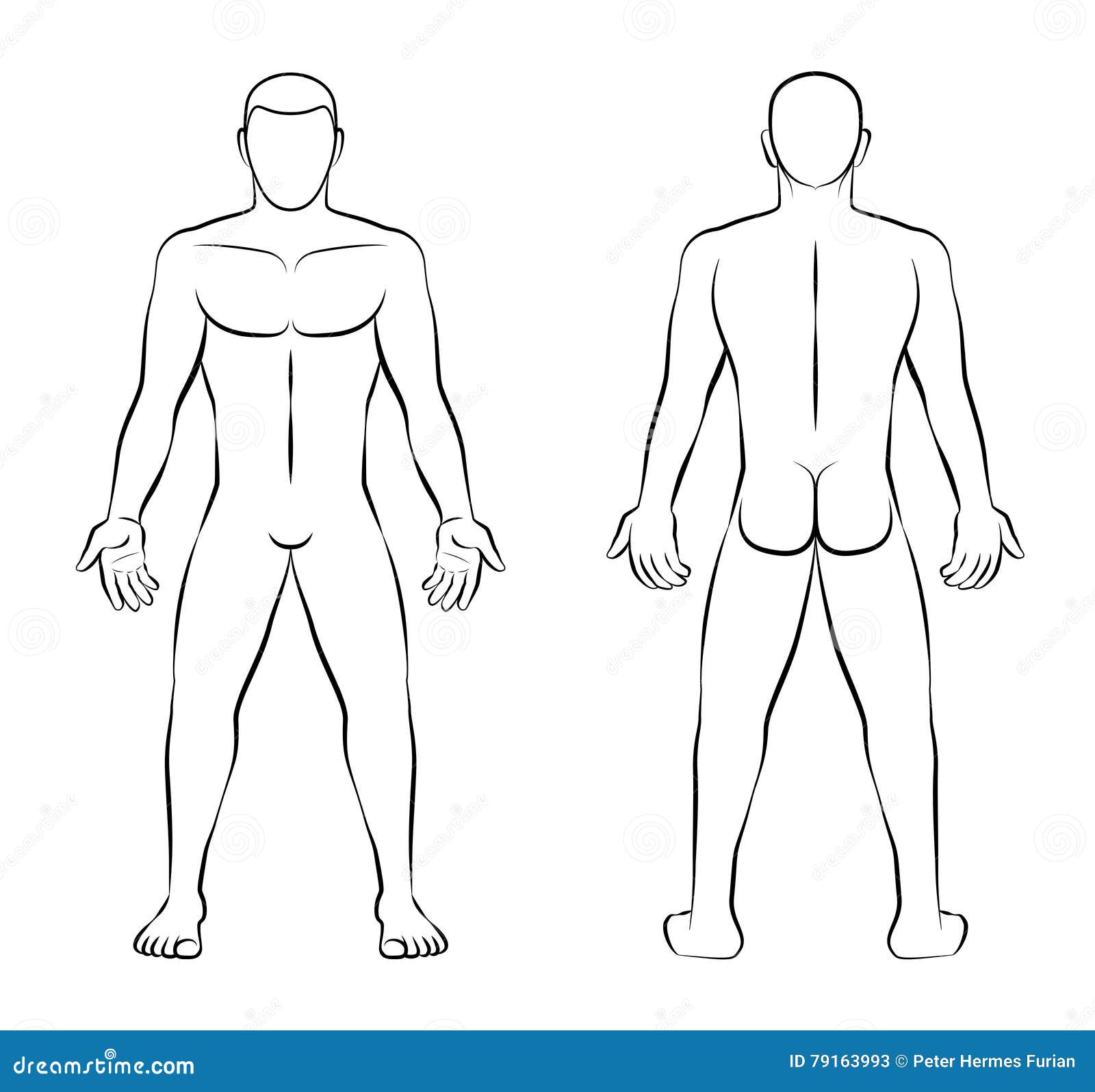 Male Nude Outline