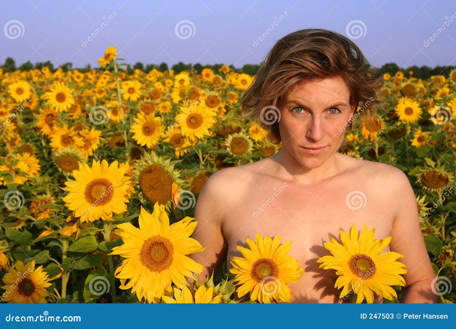nudist sunflowers 