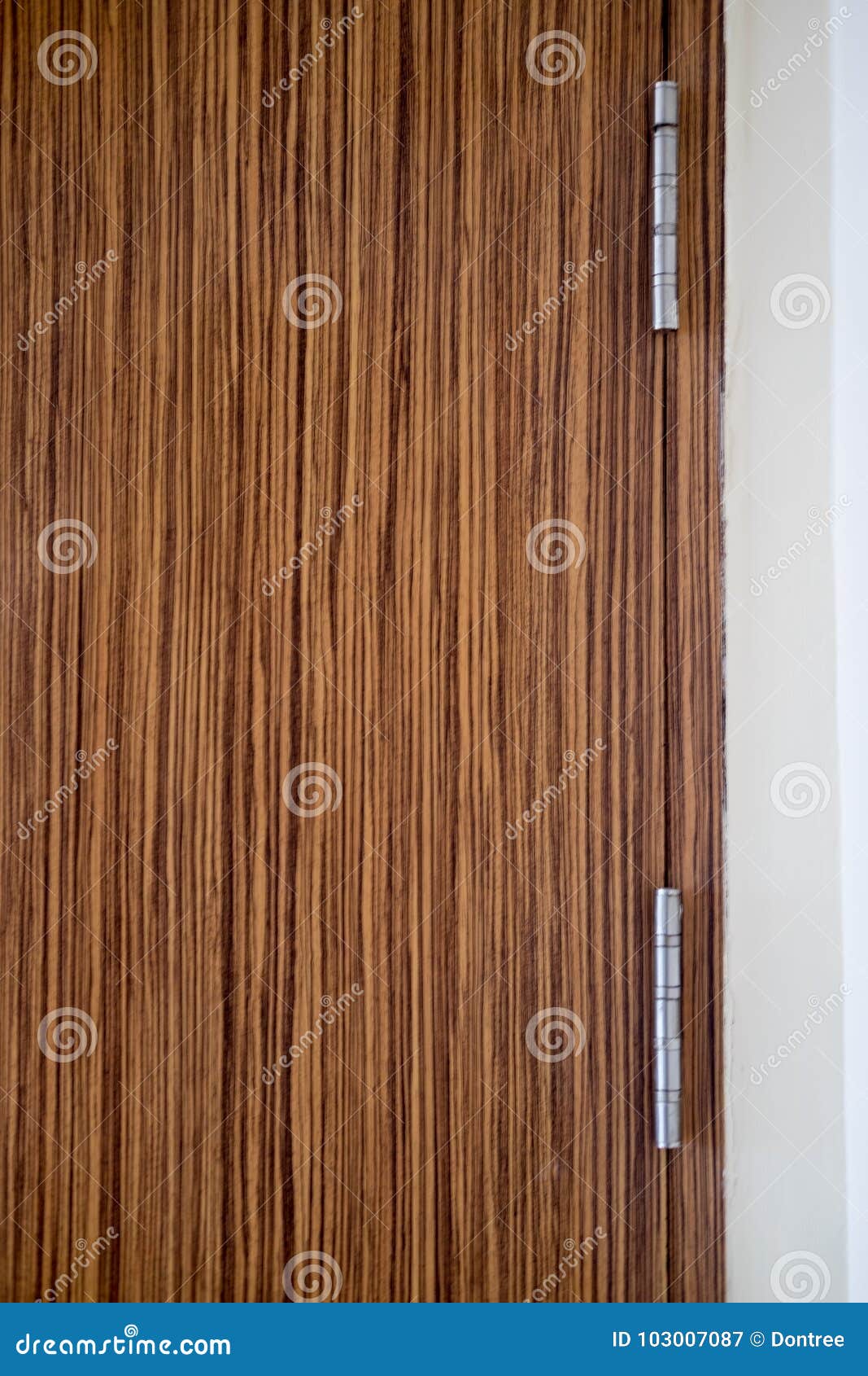 Nueva Bisagra De Puerta Moderna En Puerta De Imagen de archivo Imagen primer: 103007087