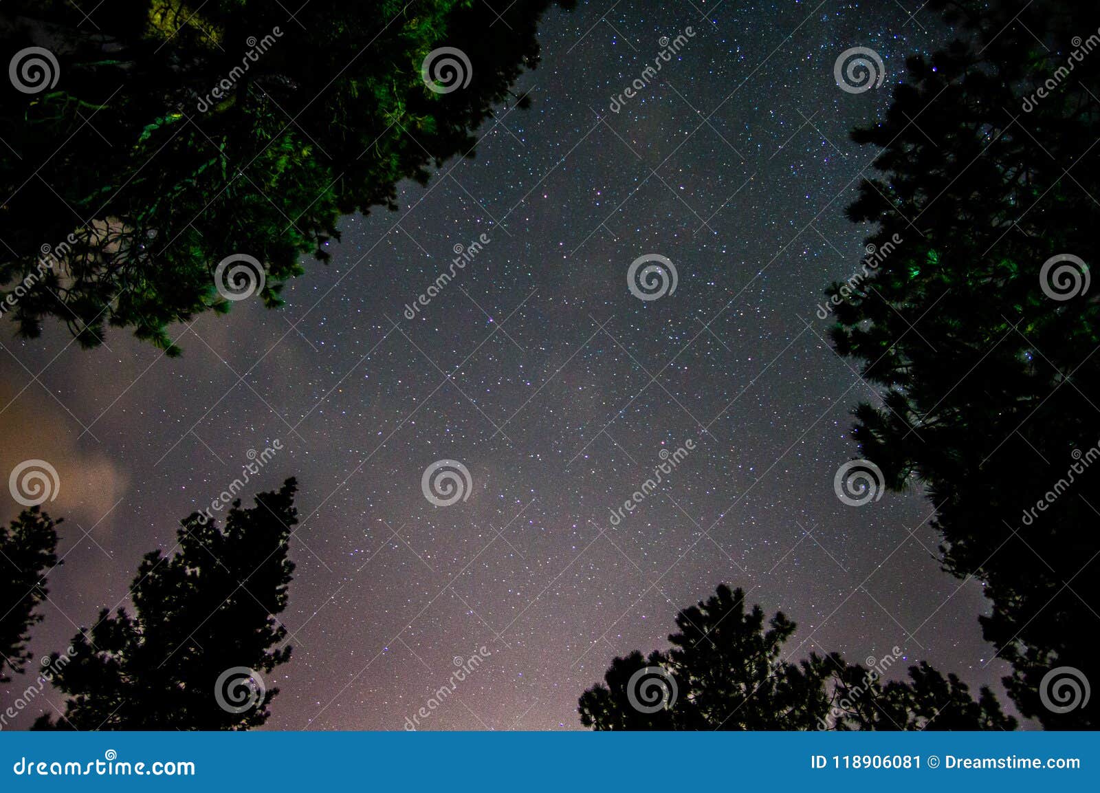 Nuit étoilée en forêt d'Angeles. Longue exposition des étoiles vues en forêt d'Angeles, la Californie