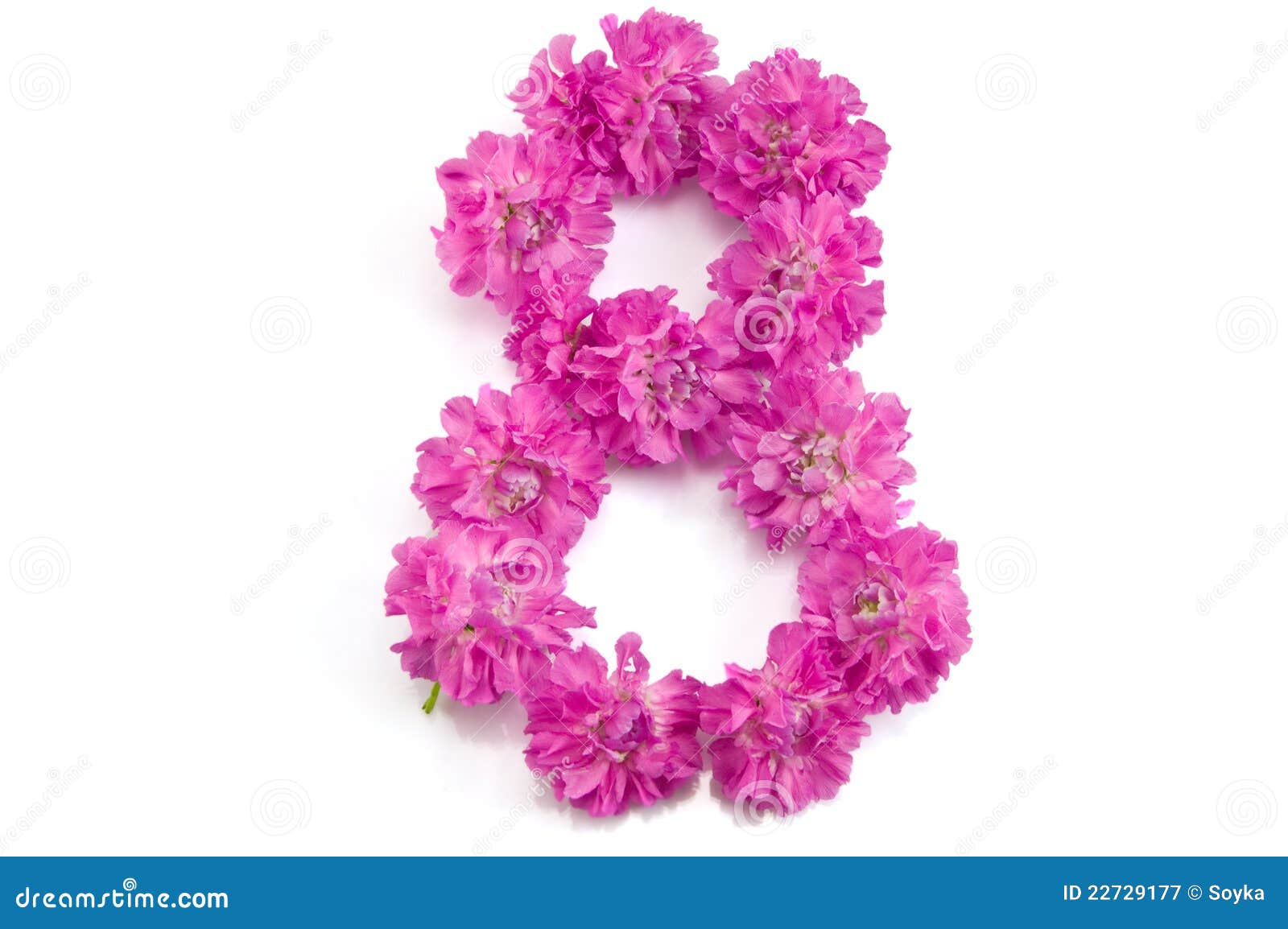 the number eight from flowers