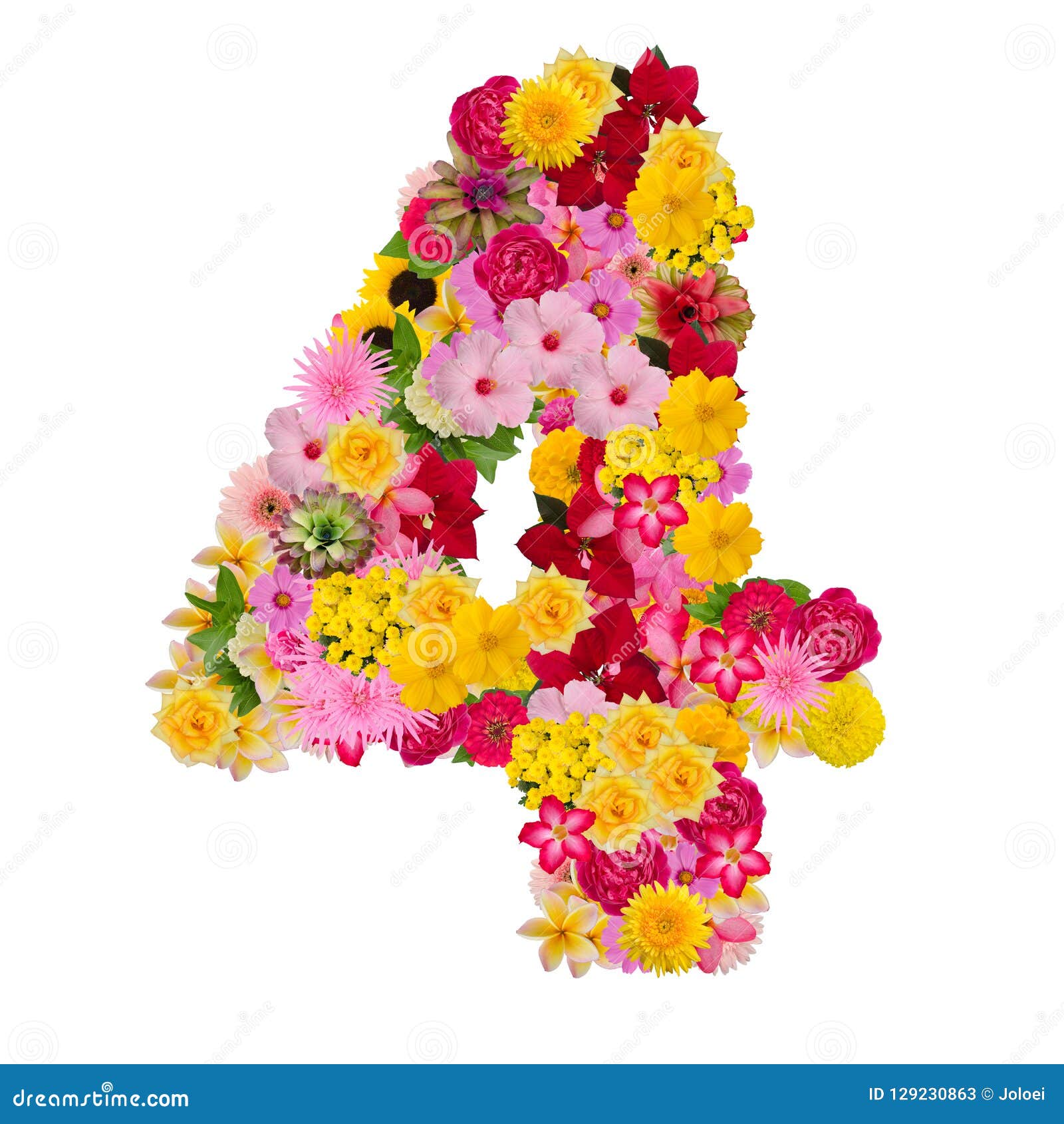 Number 4 Made from Flower Isolated on White Background. Whit Cl Stock