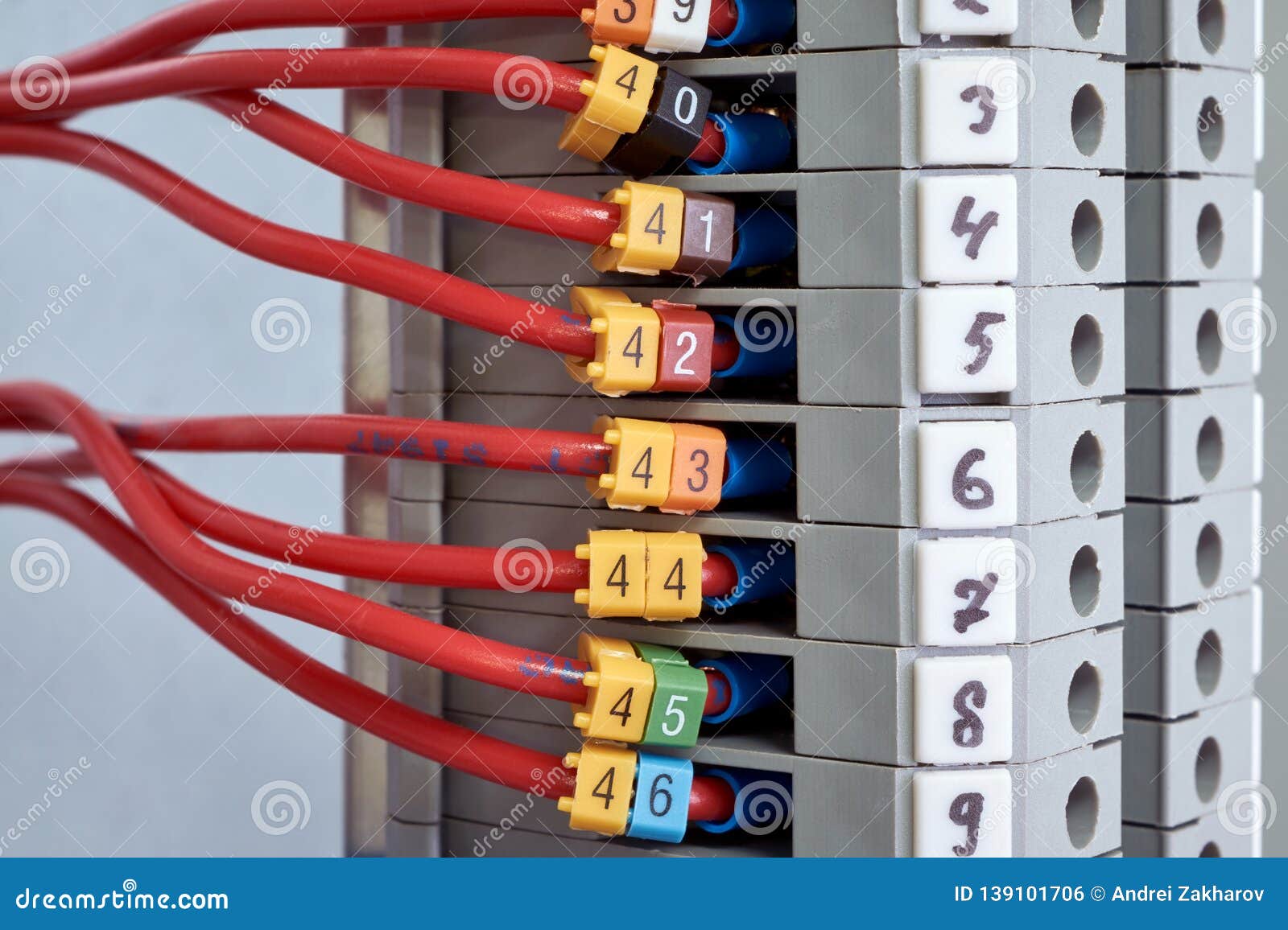 Wires And Clam Terminals To Open The Electrical Distribution Box Stock wires-and-clam-terminals-to-open-the-electrical-distribution-box-stock