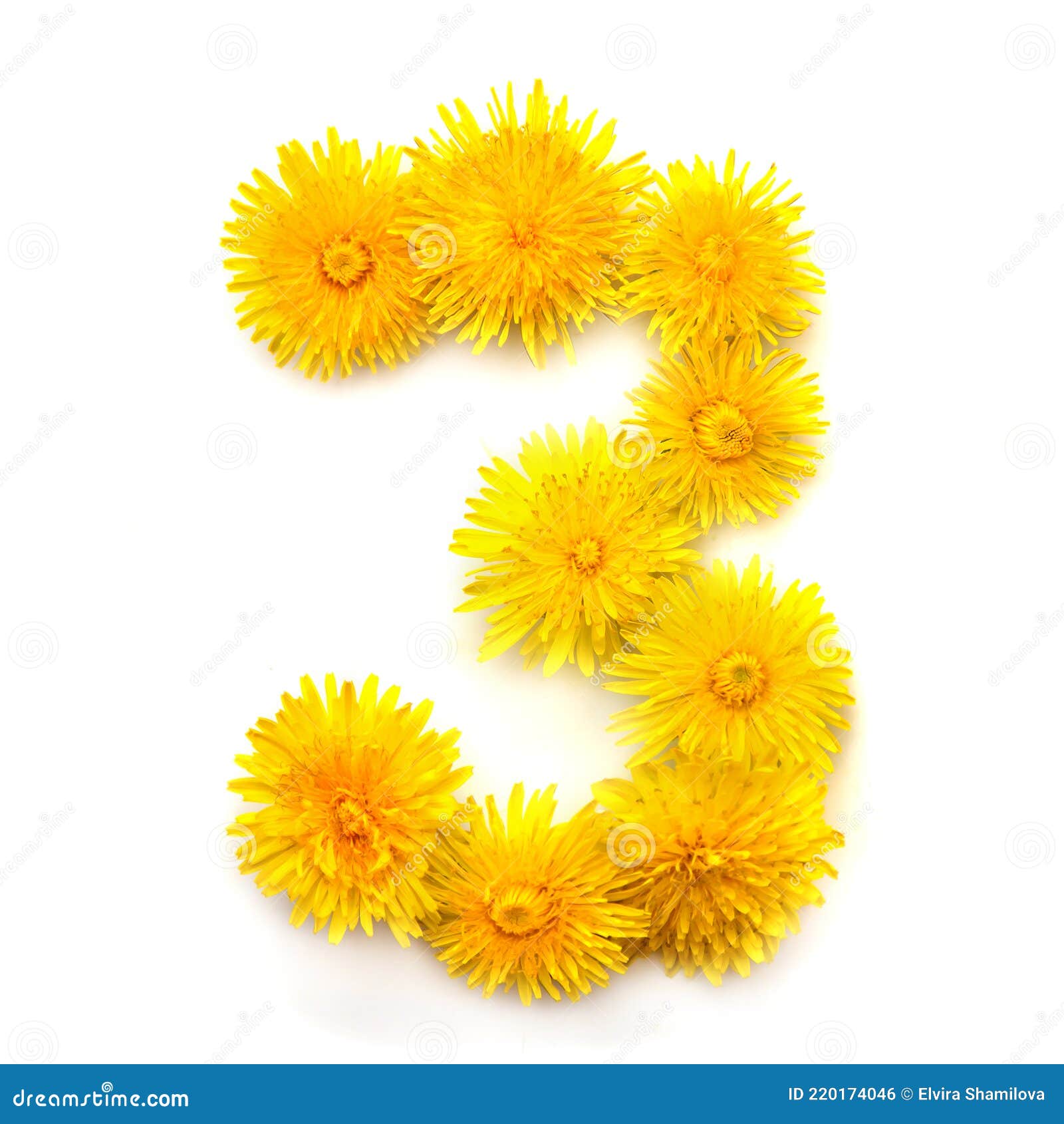Number 3 of Yellow Dandelions Flowers Stock Photo Image of birthday