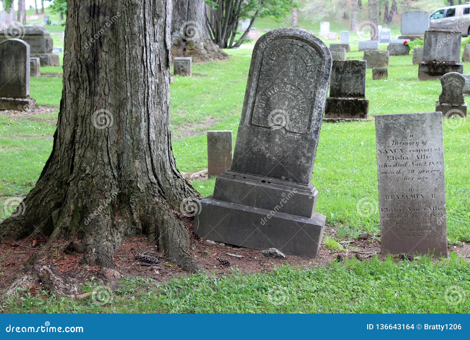 Numerous Headstones Standing Tall in Memory of Lost Ones, Oakwood