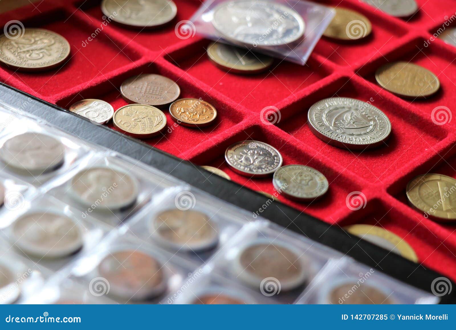 numismatic, world coins collection on a red tray.