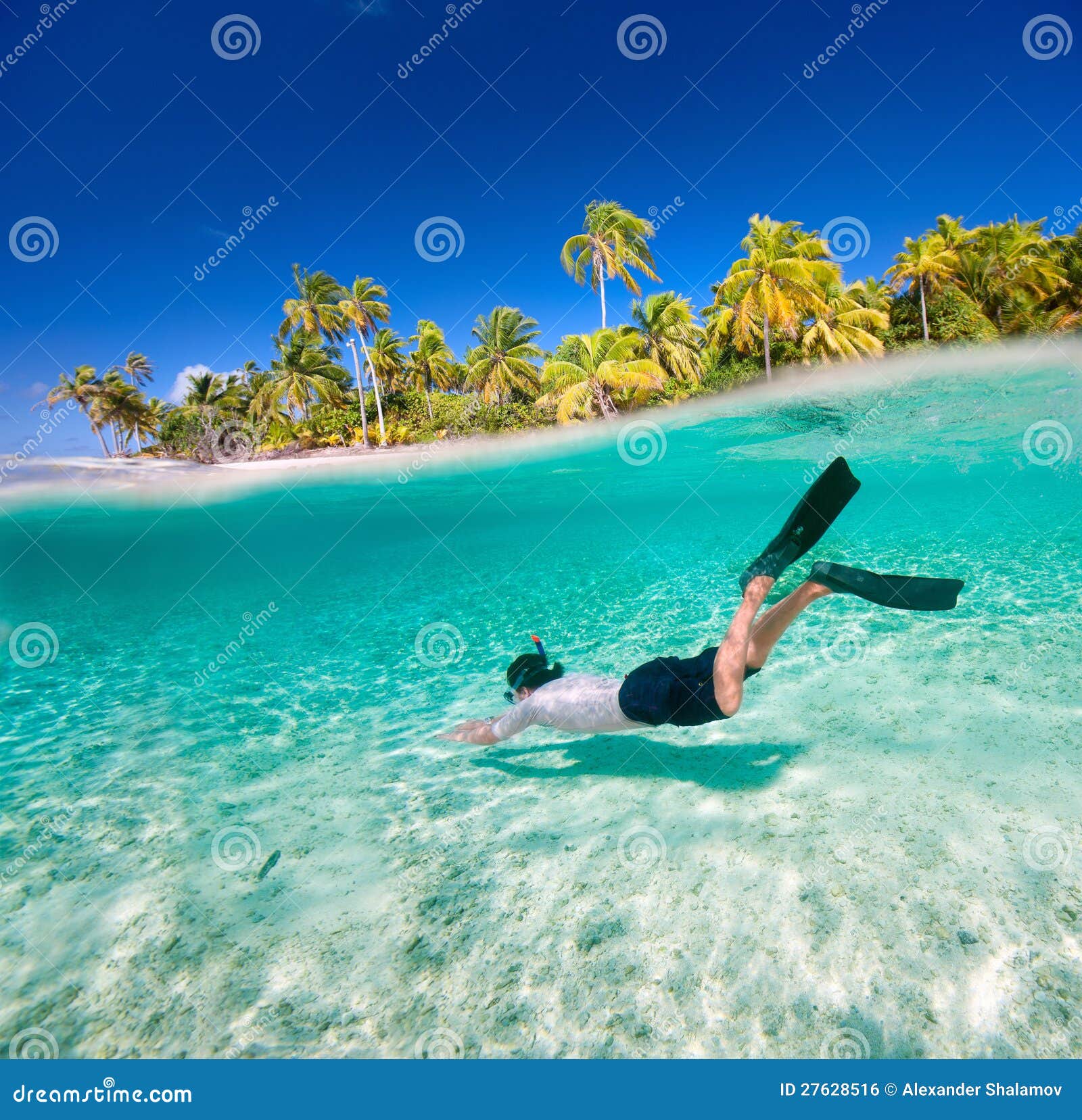 Nuoto dell'uomo subacqueo fotografia stock. Immagine di spiaggia - 27628516