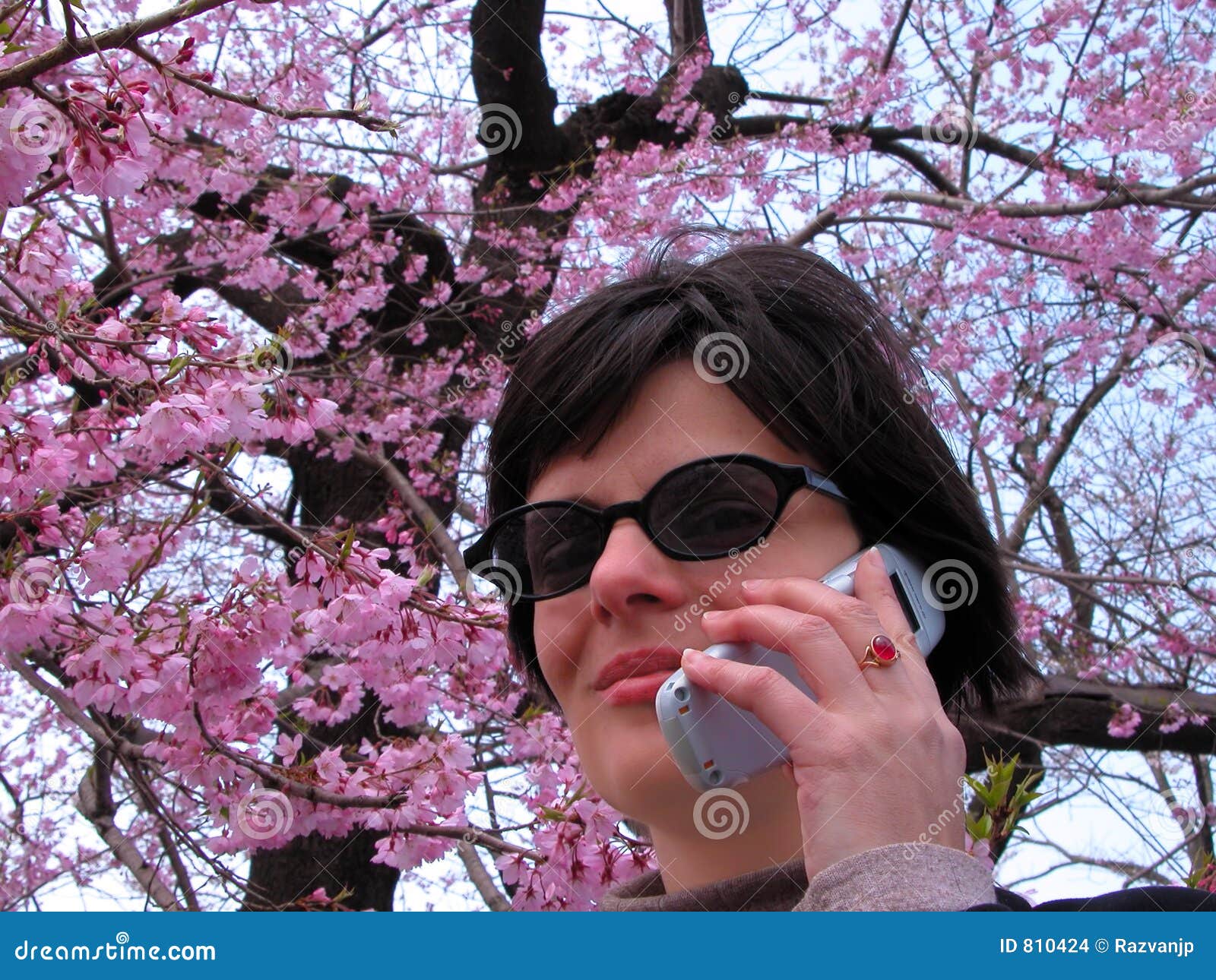 Nuova stagione di comunicazione. Donna sorridente con gli occhiali da sole ed il telefono mobile nell'ambito di una albero-metafora del fiore di ciliegia per la comunicazione fresca