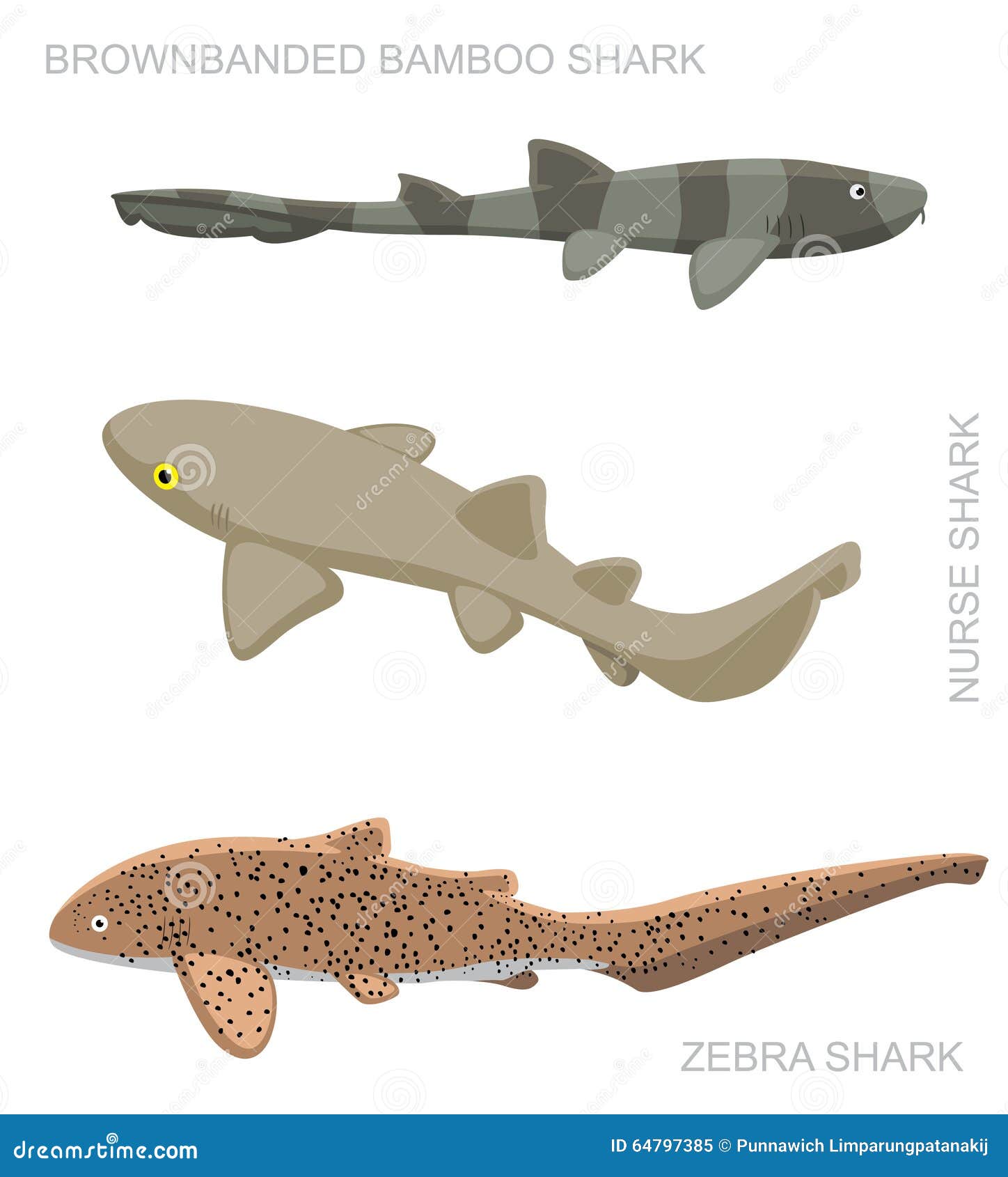 nurse shark toy