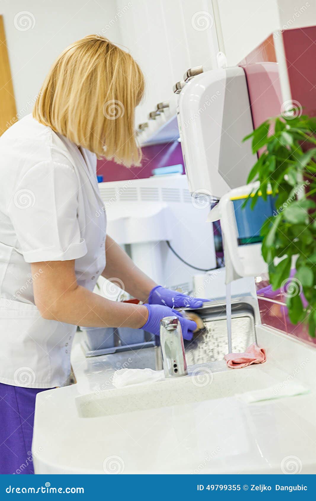 Nurse Washing Dental Equipments Stock Image Image of glove, clinic