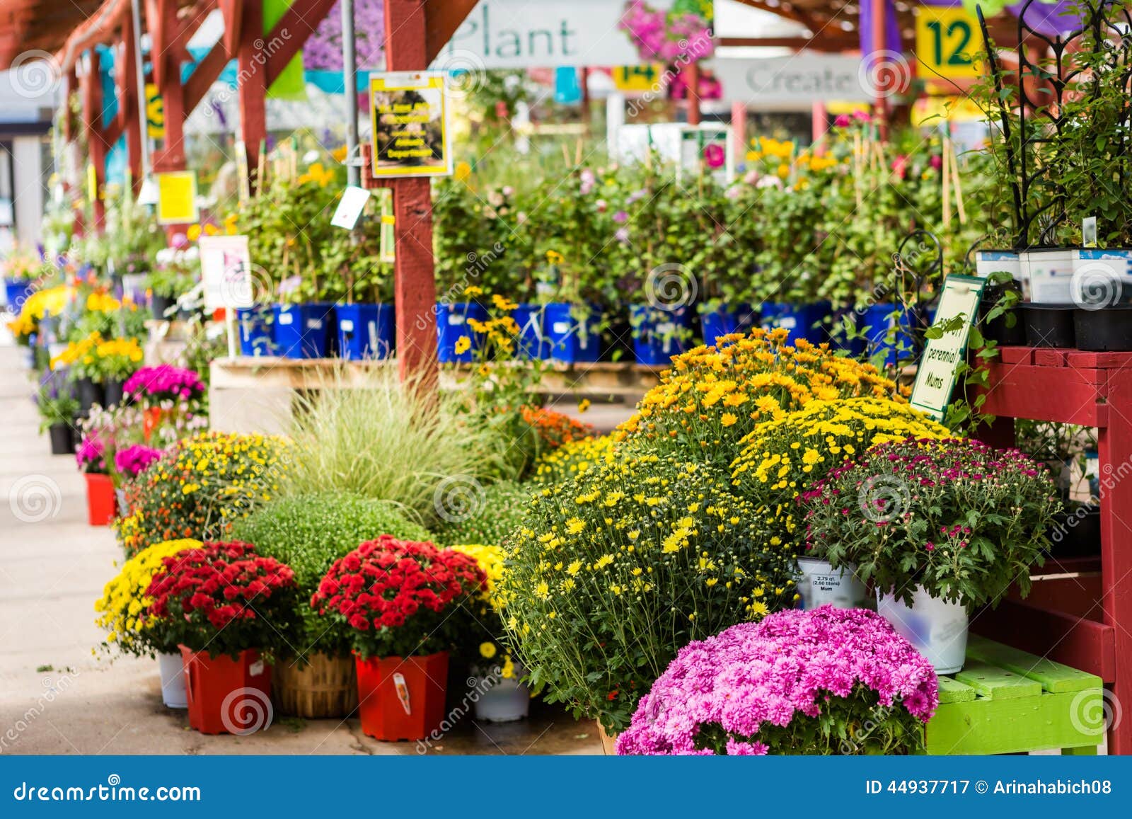 Nursery Stock Image Image Of Blooming Building Store 44937717