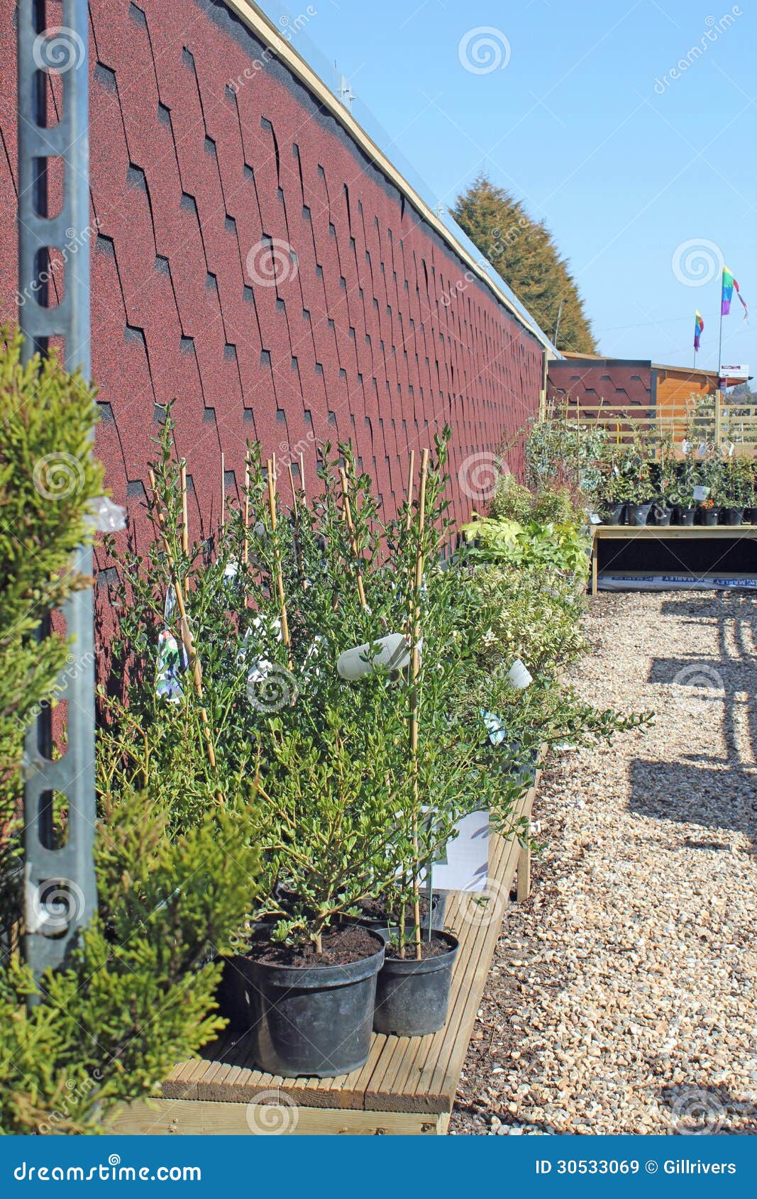 Nursery Pot Plants stock image. Image of kent, whitstable 30533069