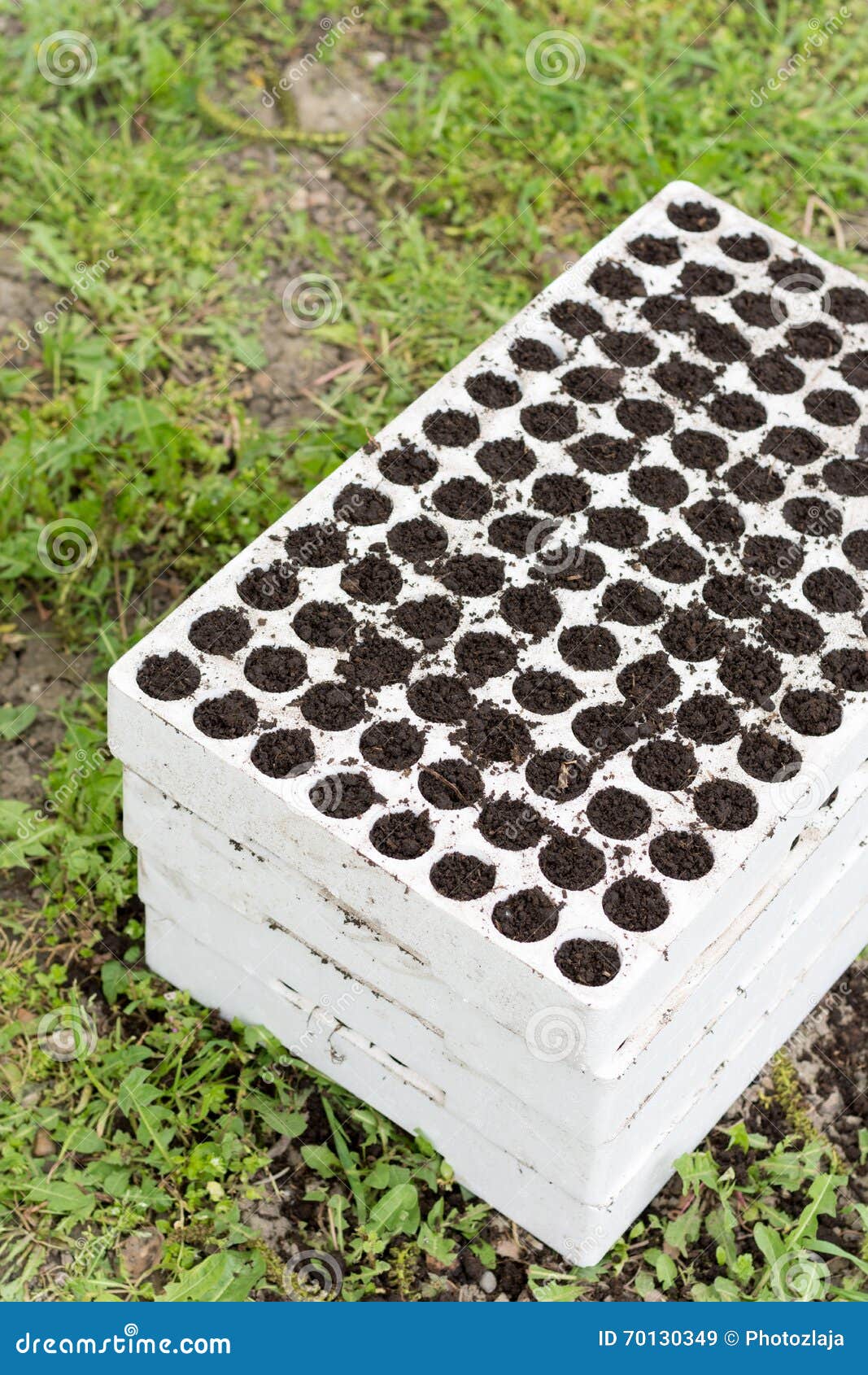 Nursery Styrofoam To the Emerged Plants Stock Image Image of outdoor