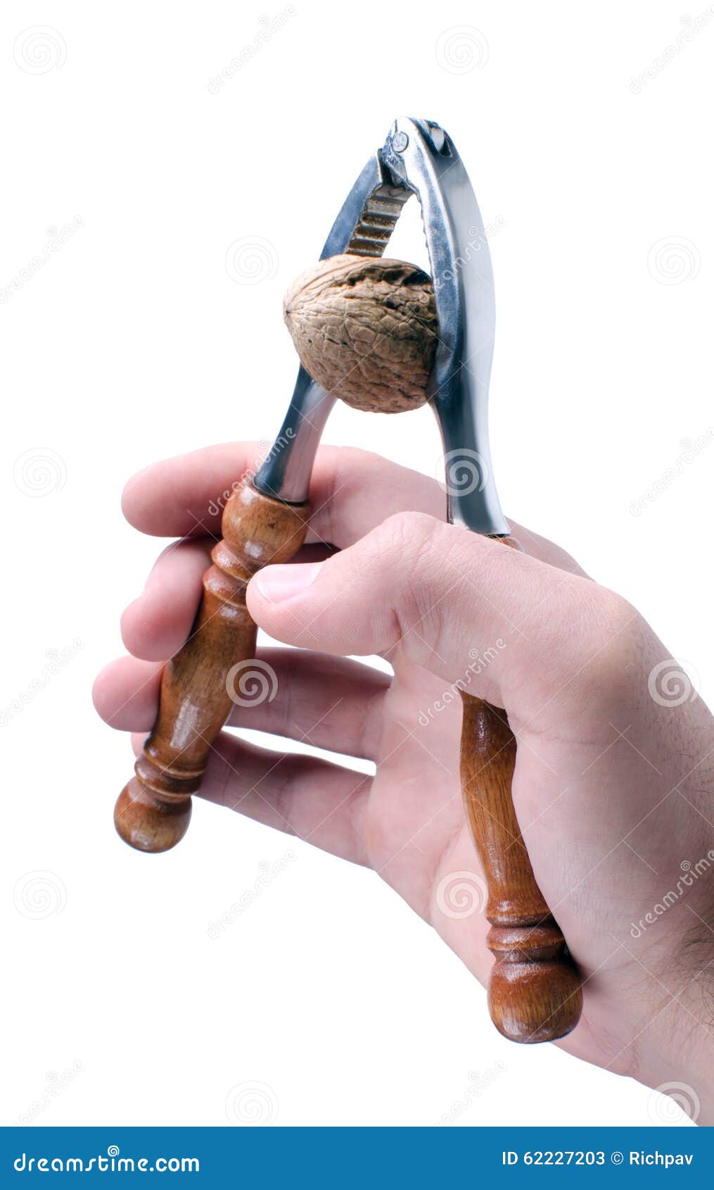 Nut cracking stock image. Image of fall, food, metallic 62227203