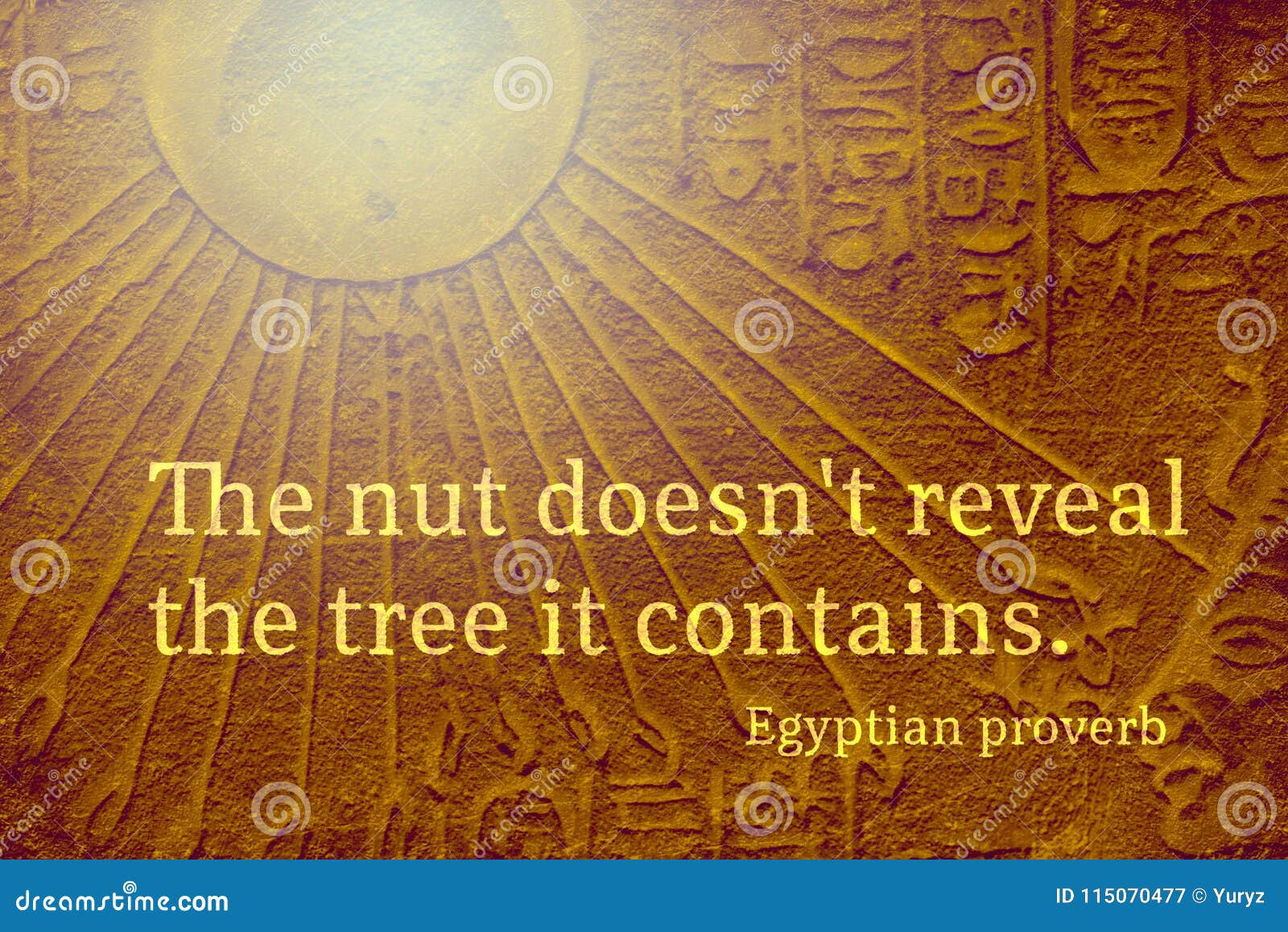 Nut contains Eps stock image. Image of egyptian, philosophy 115070477