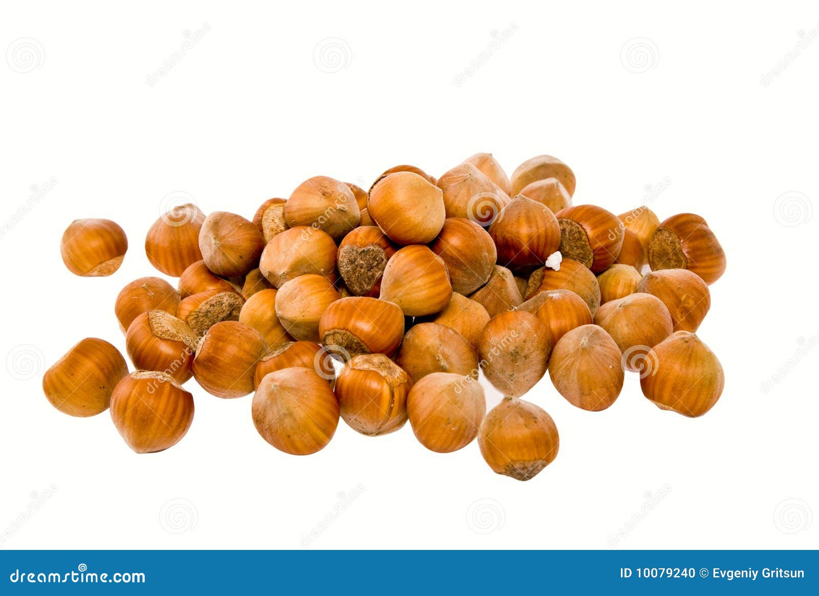 Nut a filbert stock photo. Image of filbert, protein 10079240