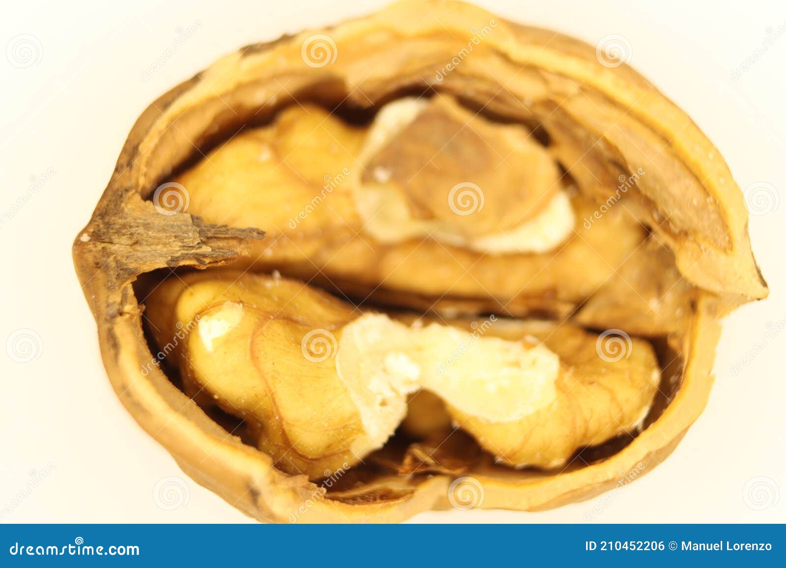 nut seed healthy natural food healthy shell