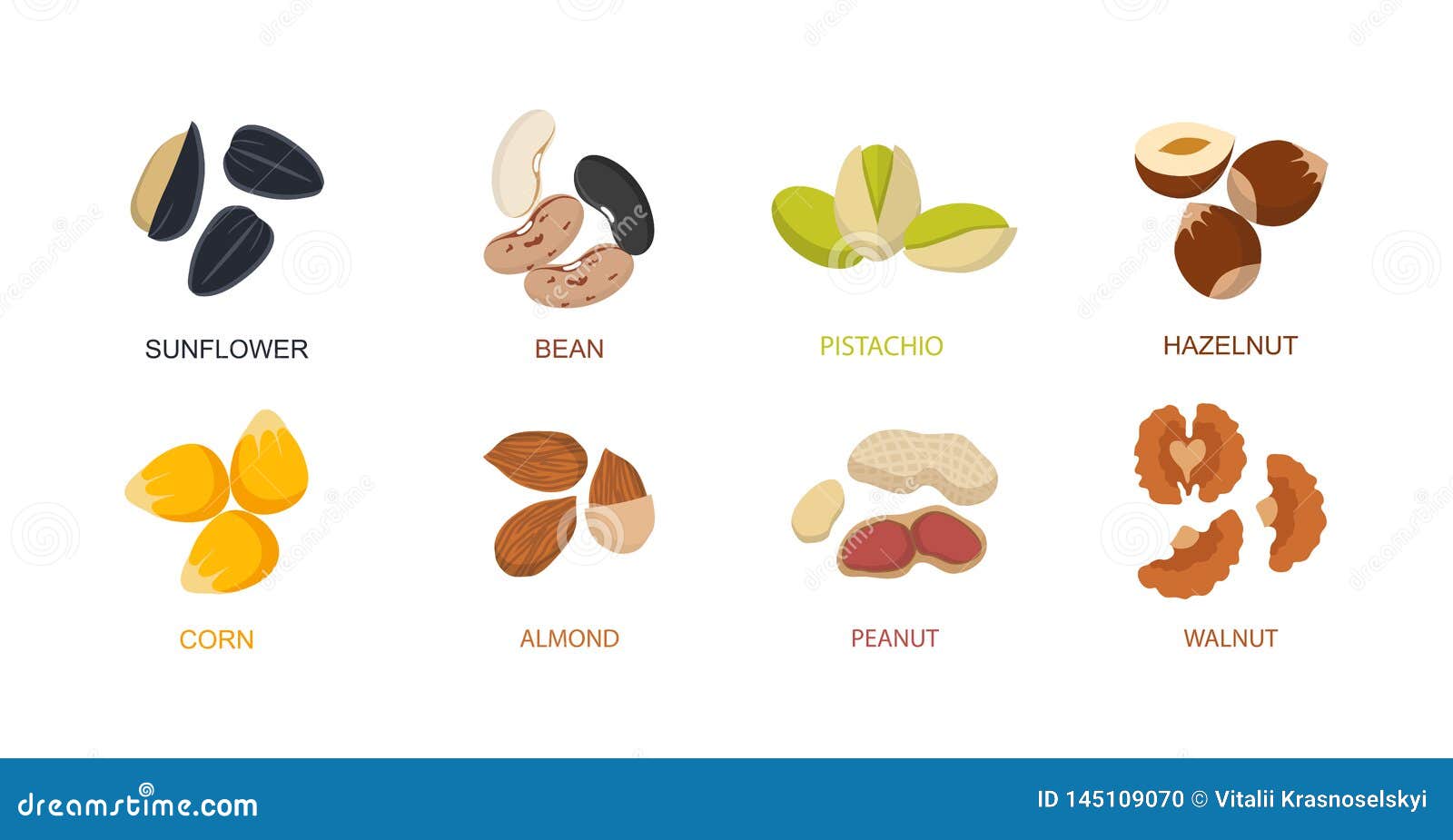 Nut Seed. Nuts Set in Flat Design. Set of Different Cartoon Nuts