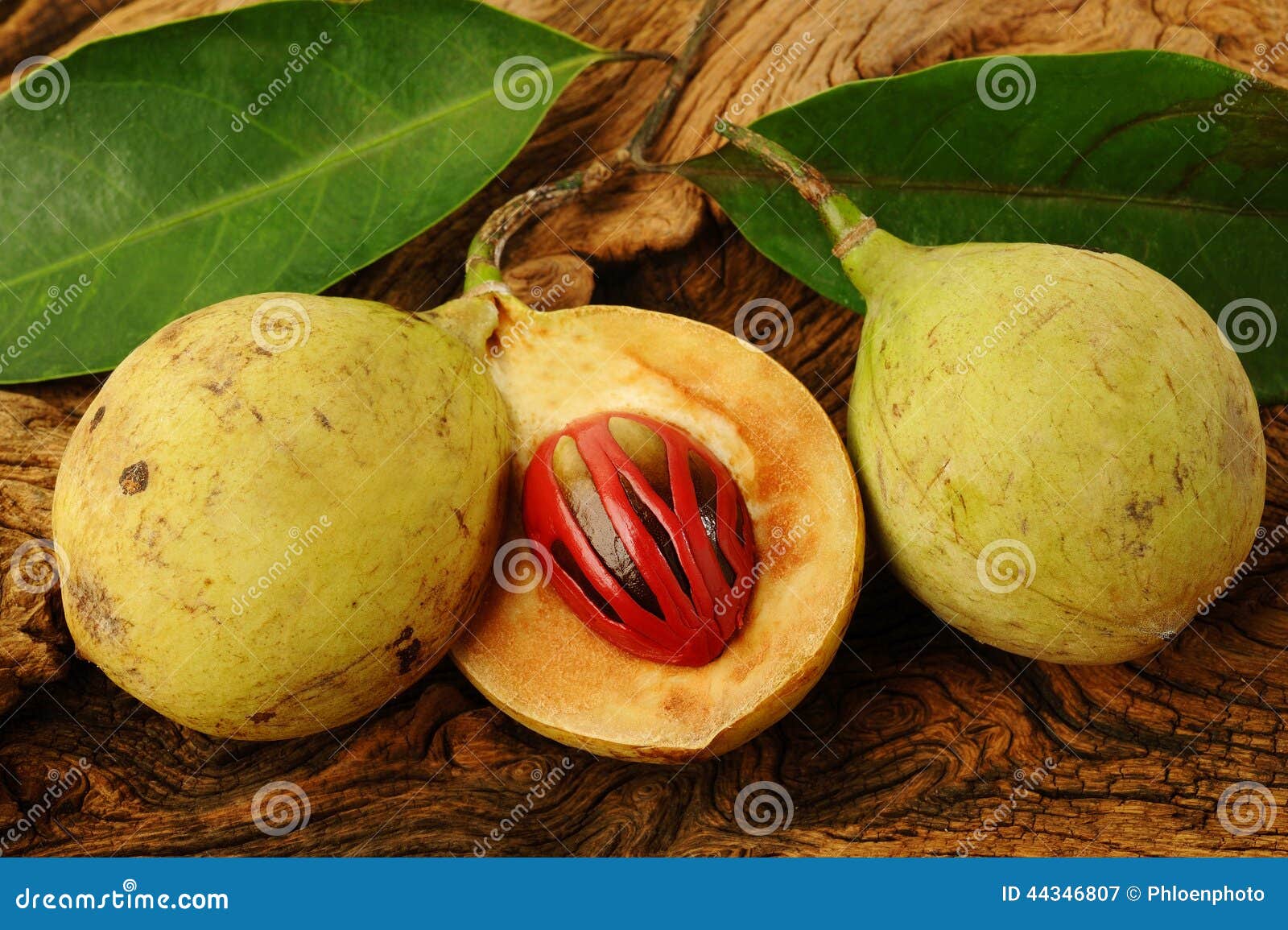 Nutmeg fruits stock image. Image of condiment, spice 44346807