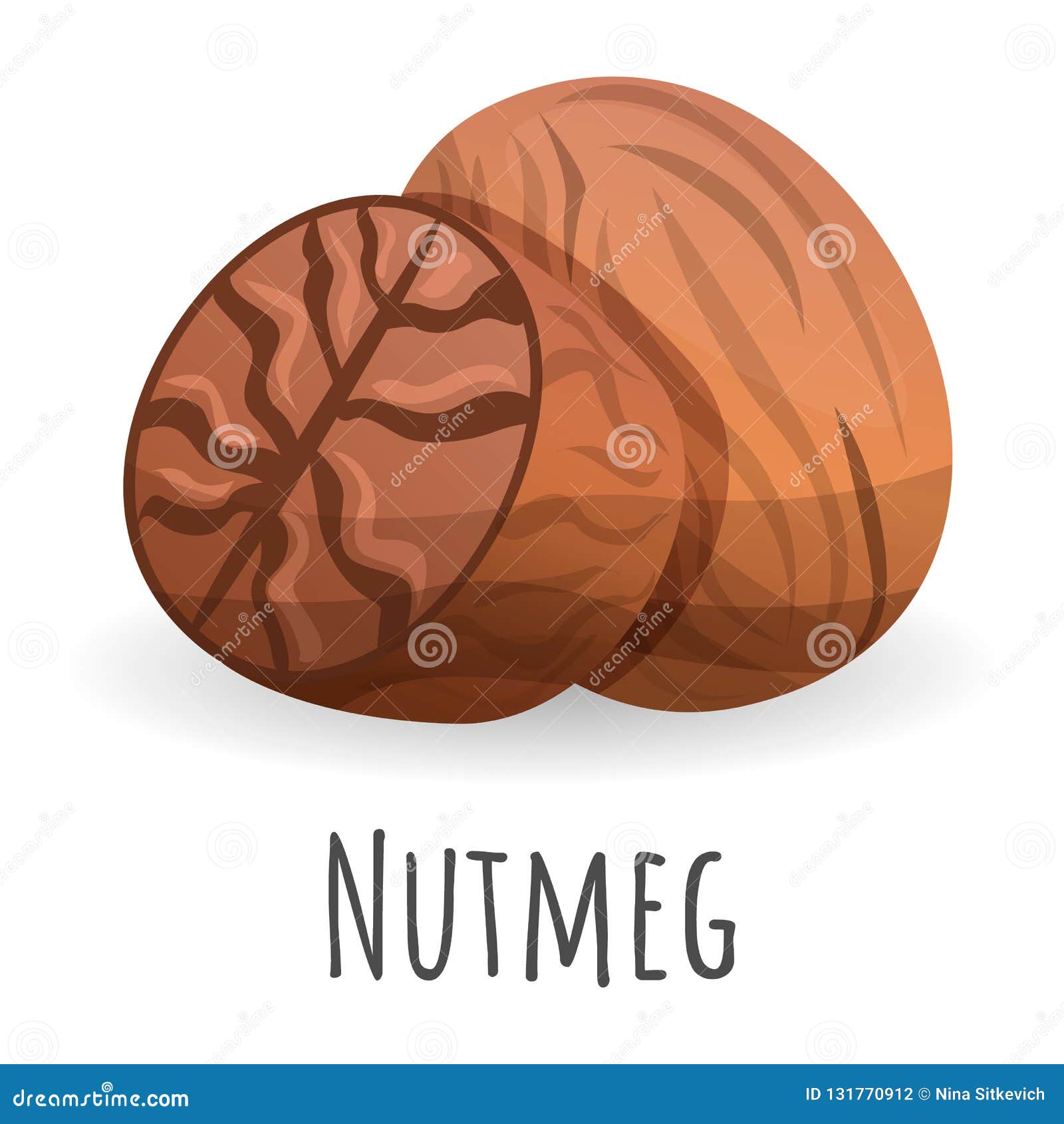 Nutmeg icon, cartoon style stock vector. Illustration of cooking
