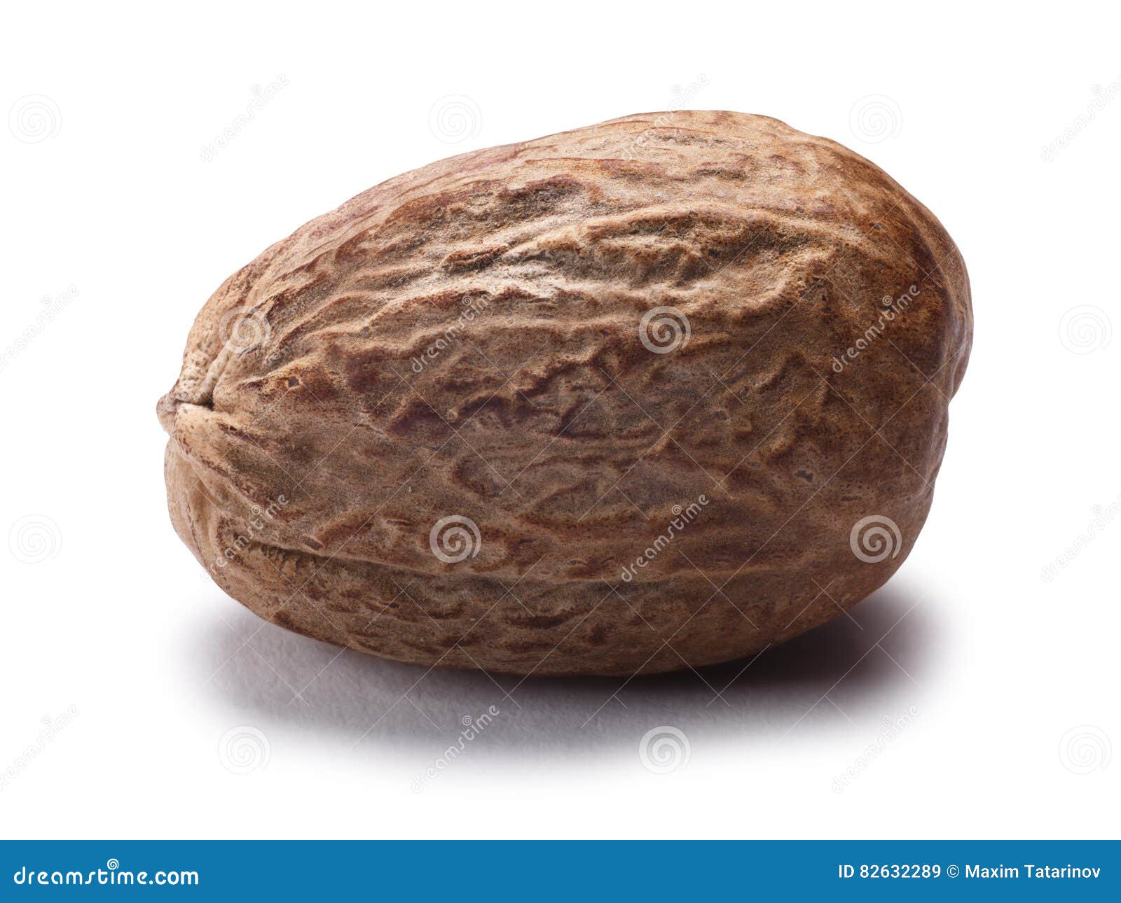 Nutmeg Mace Myristica Fragrans, Paths Stock Image Image of mace