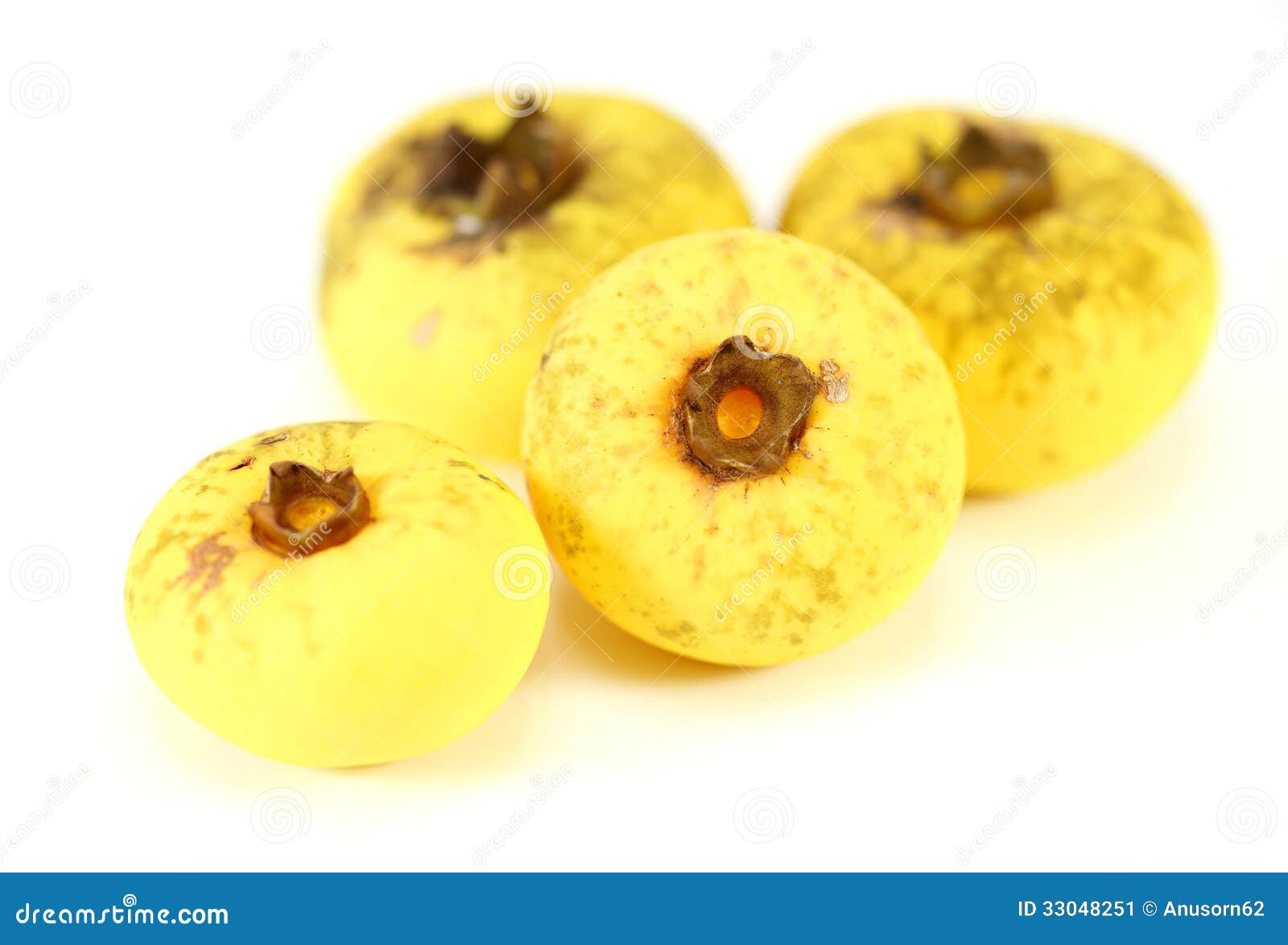 Nutmeg Myristica Fragrans Houtt Stock Image Image of perennials