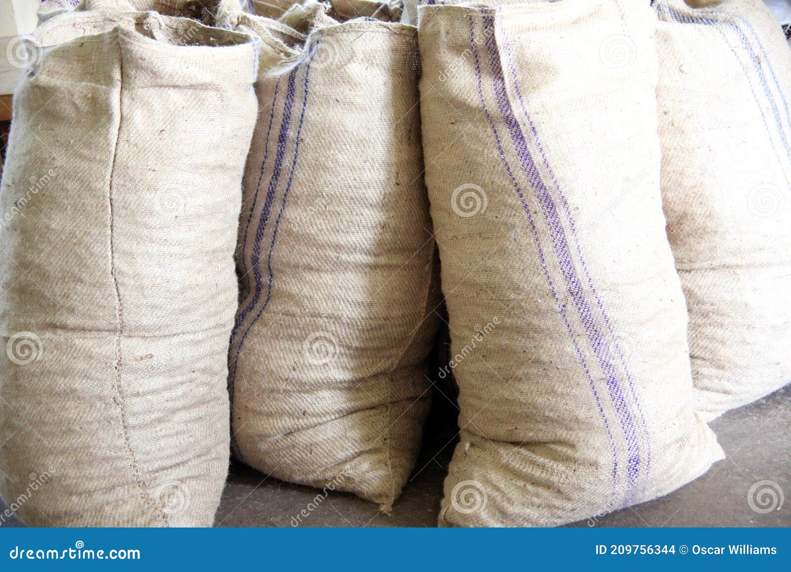 Nutmeg sacks storage. stock photo. Image of warehouse 209756344