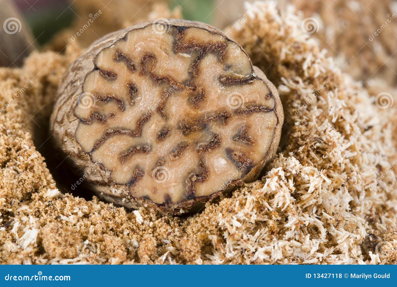 Nutmeg Is The Seed Or Ground Spice Of Several Species Of The Genus