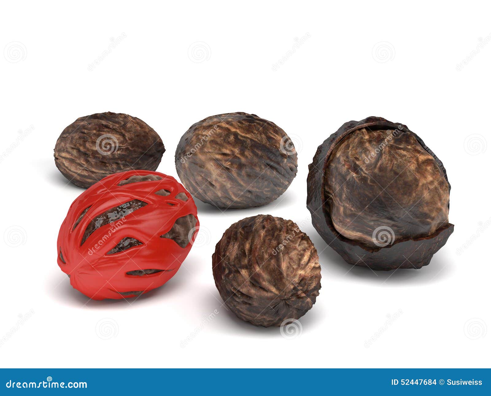Nutmeg Seed Spices Isolated on White Background Stock Illustration