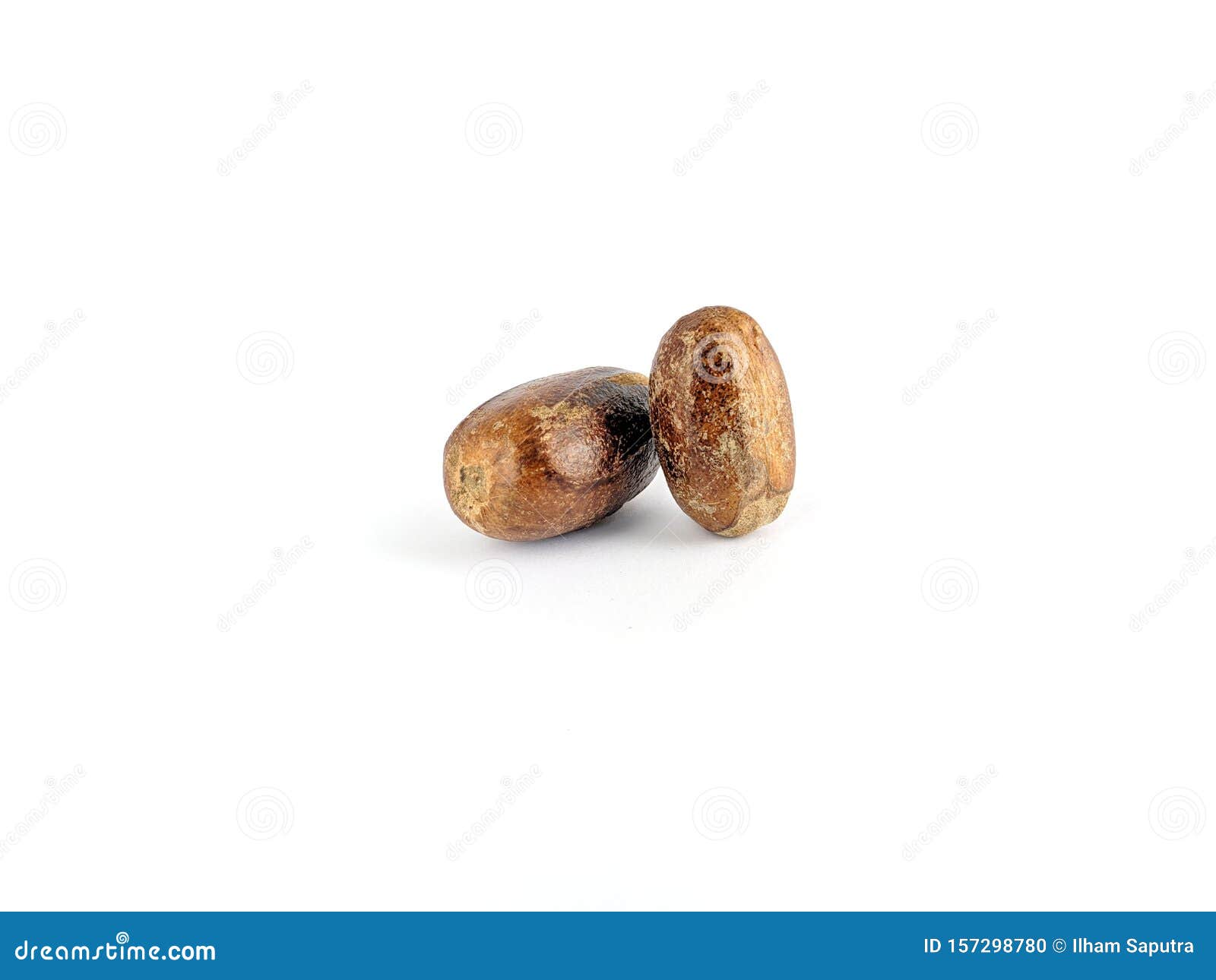 Nutmeg Spice Isolated on White Background Stock Photo Image of