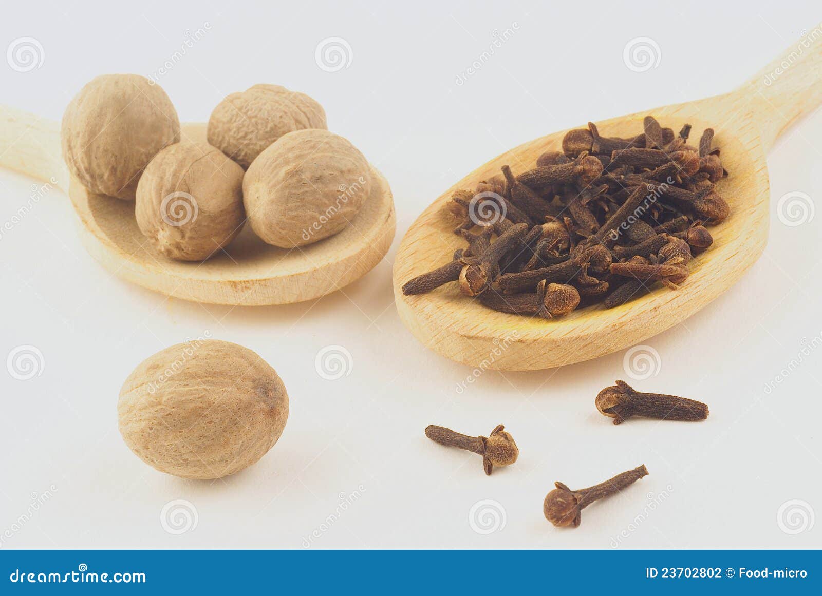 Nutmegs and cloves stock photo. Image of west, breast 23702802