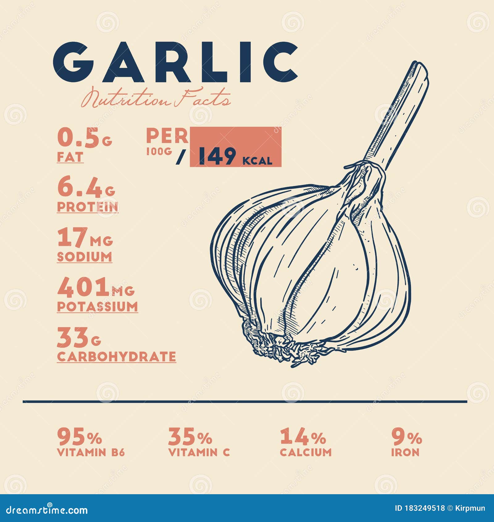 Nutrition Facts of Garlic, Hand Draw Sketch Vector Stock Vector