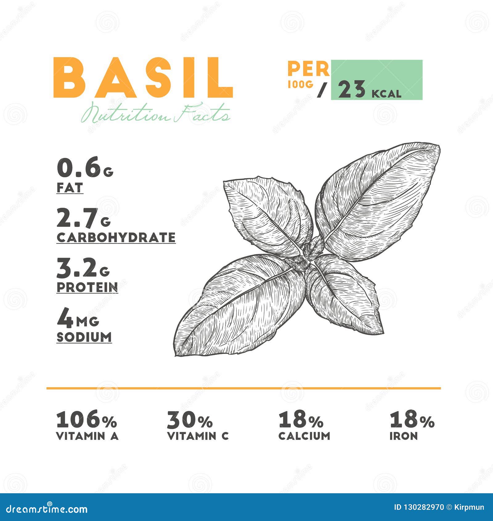 Nutrition Facts of Raw Basil Stock Vector Illustration of data