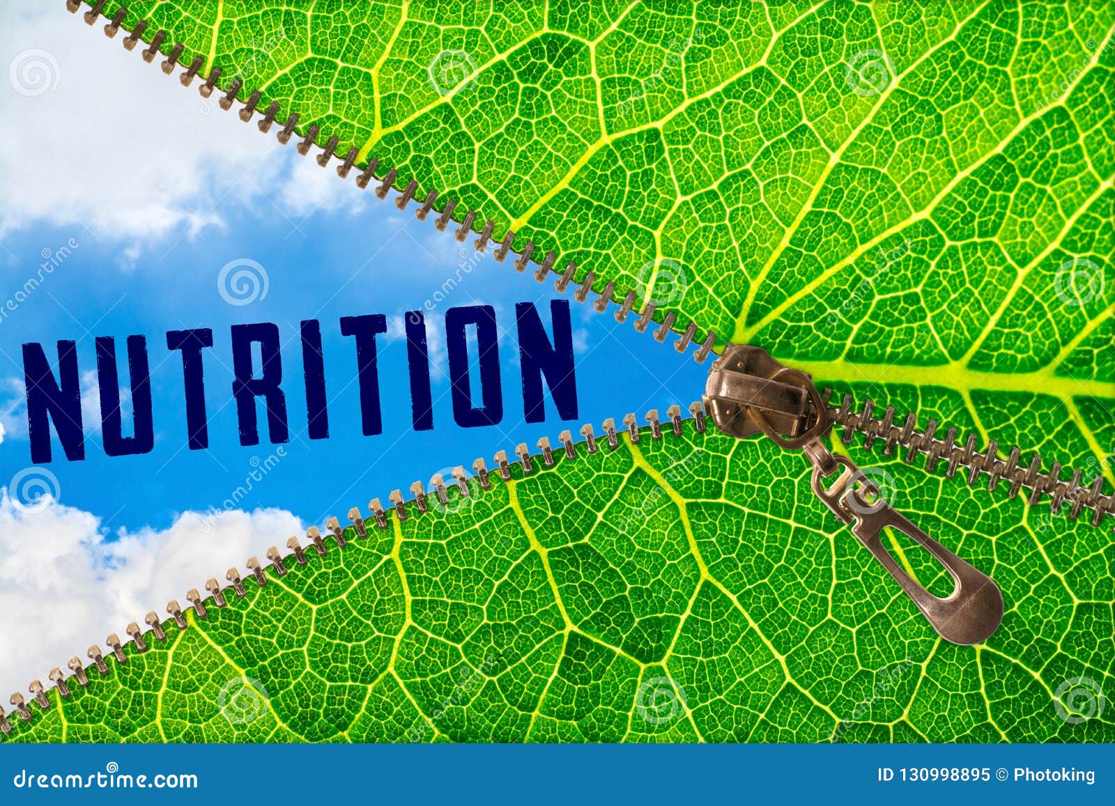 nutrition word under zipper leaf