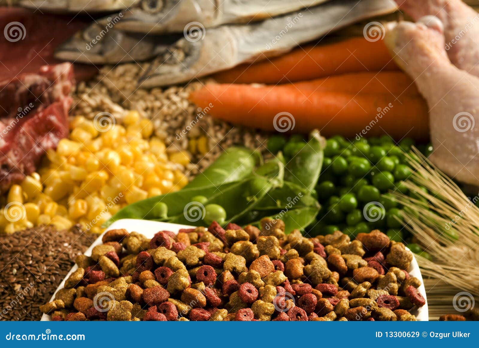 Nutritive pet food stock image. Image of protein, balanced 13300629